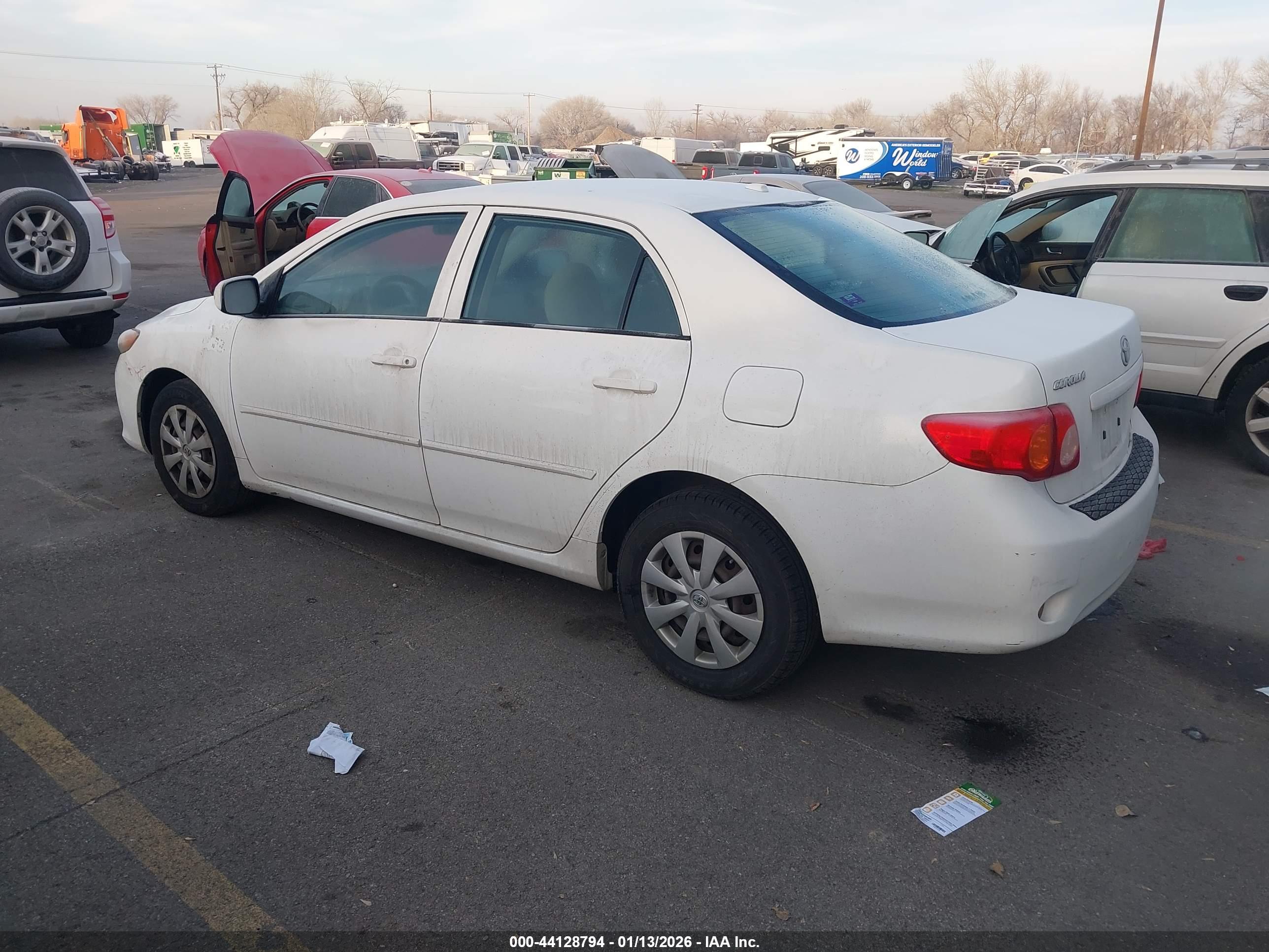 TOYOTA COROLLA image 3