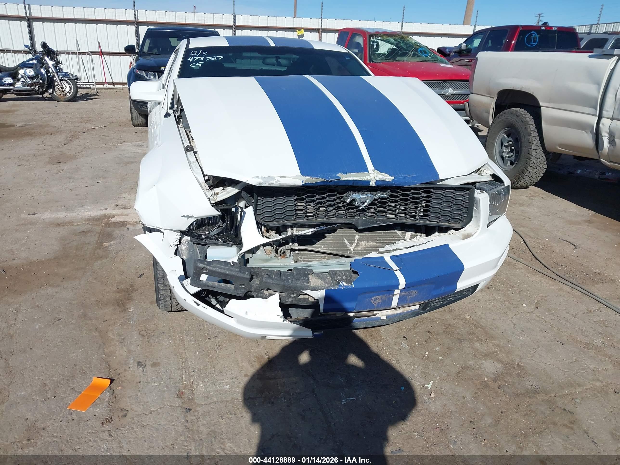 FORD MUSTANG image 6