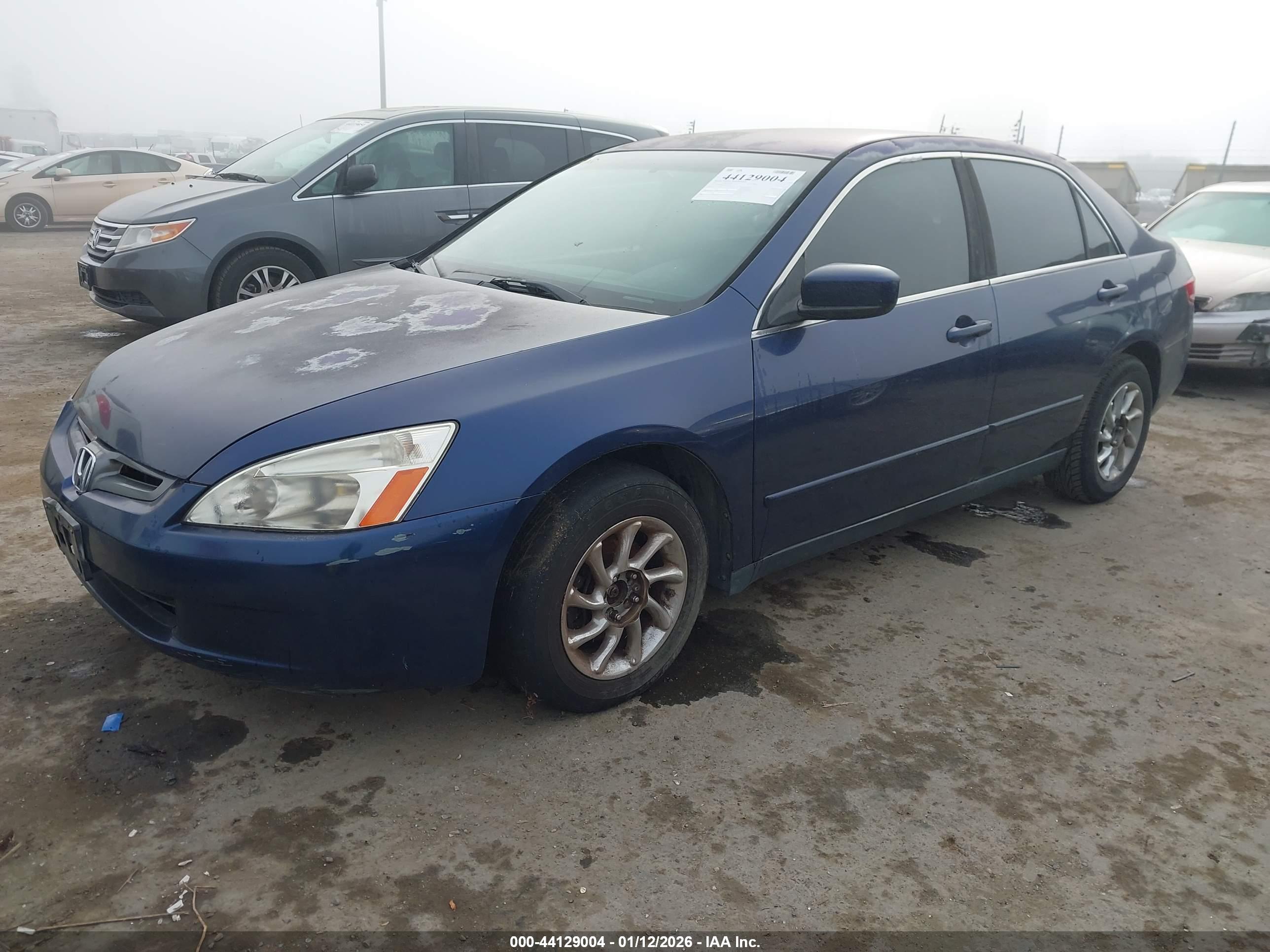 HONDA ACCORD image 2