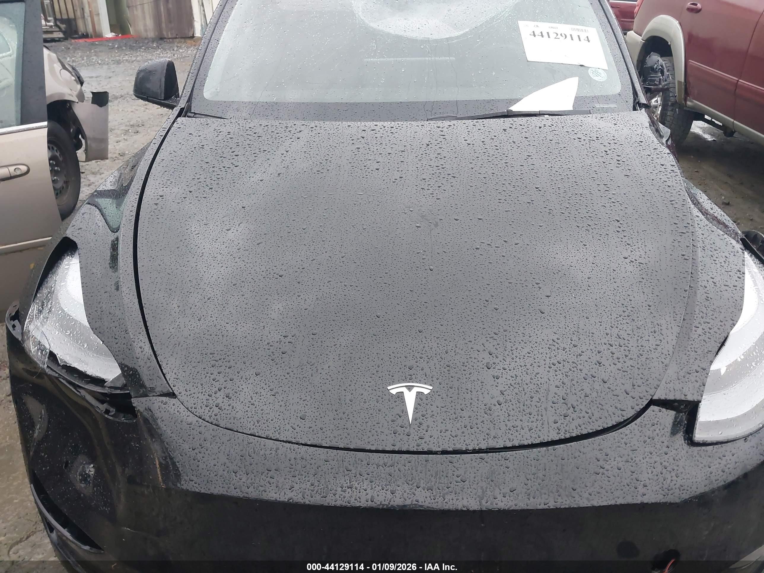 TESLA MODEL image 10