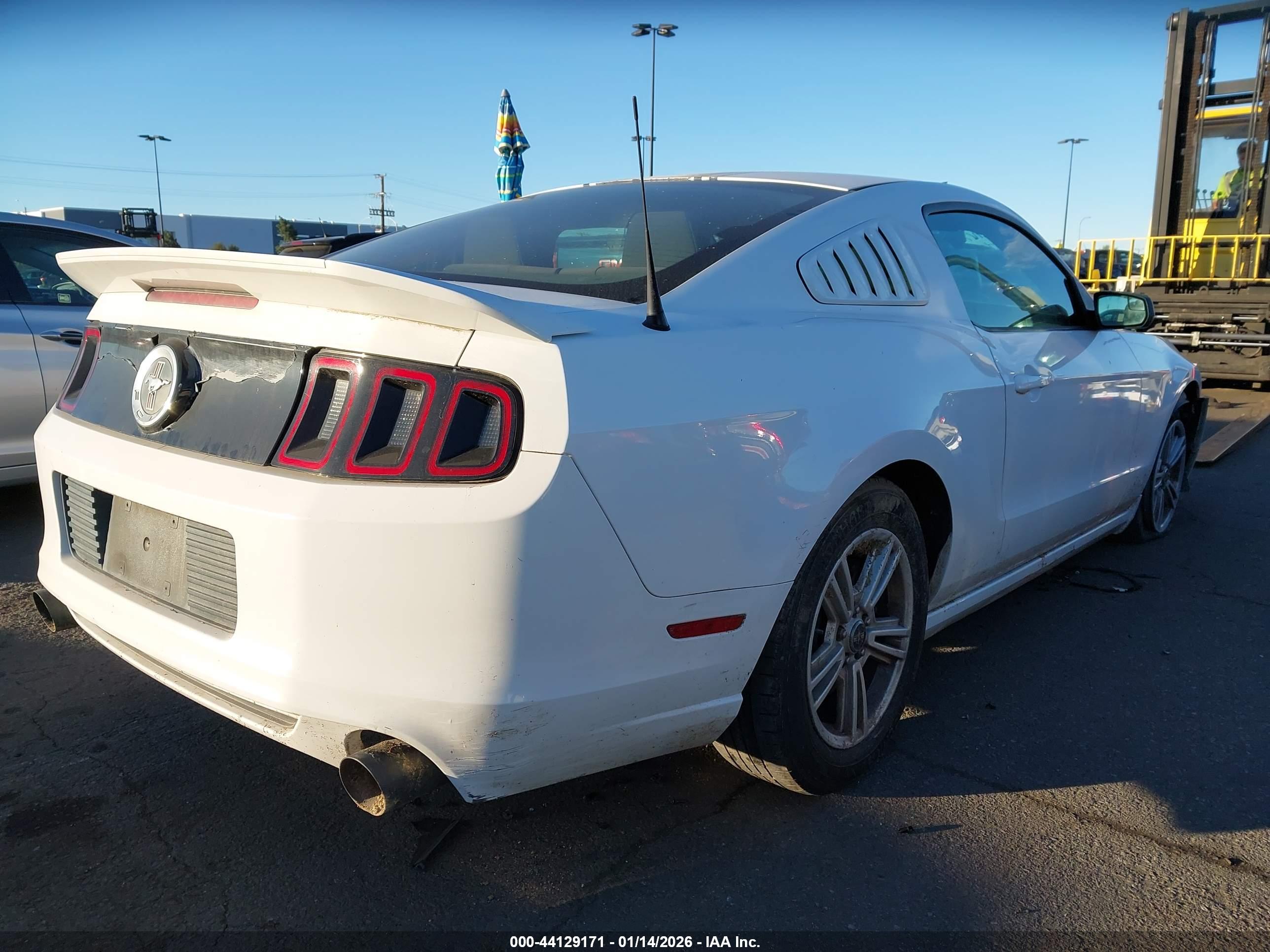 FORD MUSTANG image 4