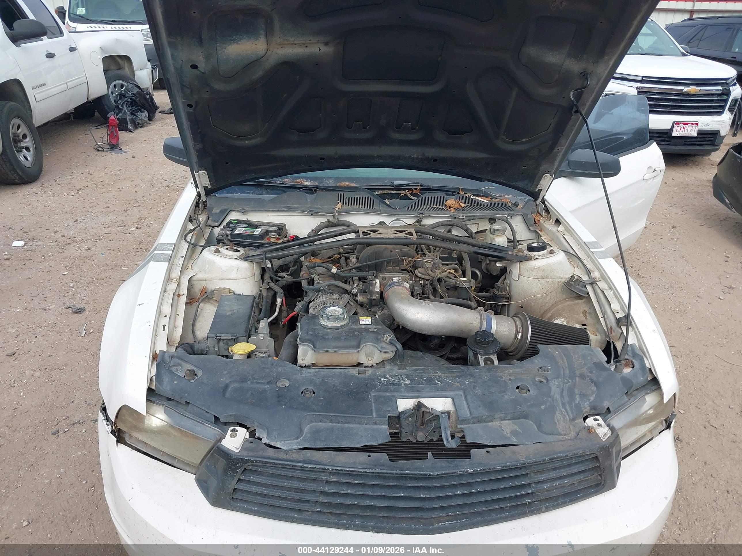 FORD MUSTANG image 10