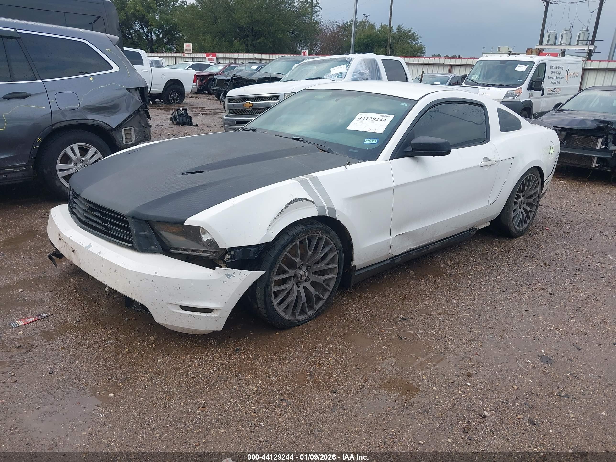 FORD MUSTANG image 2