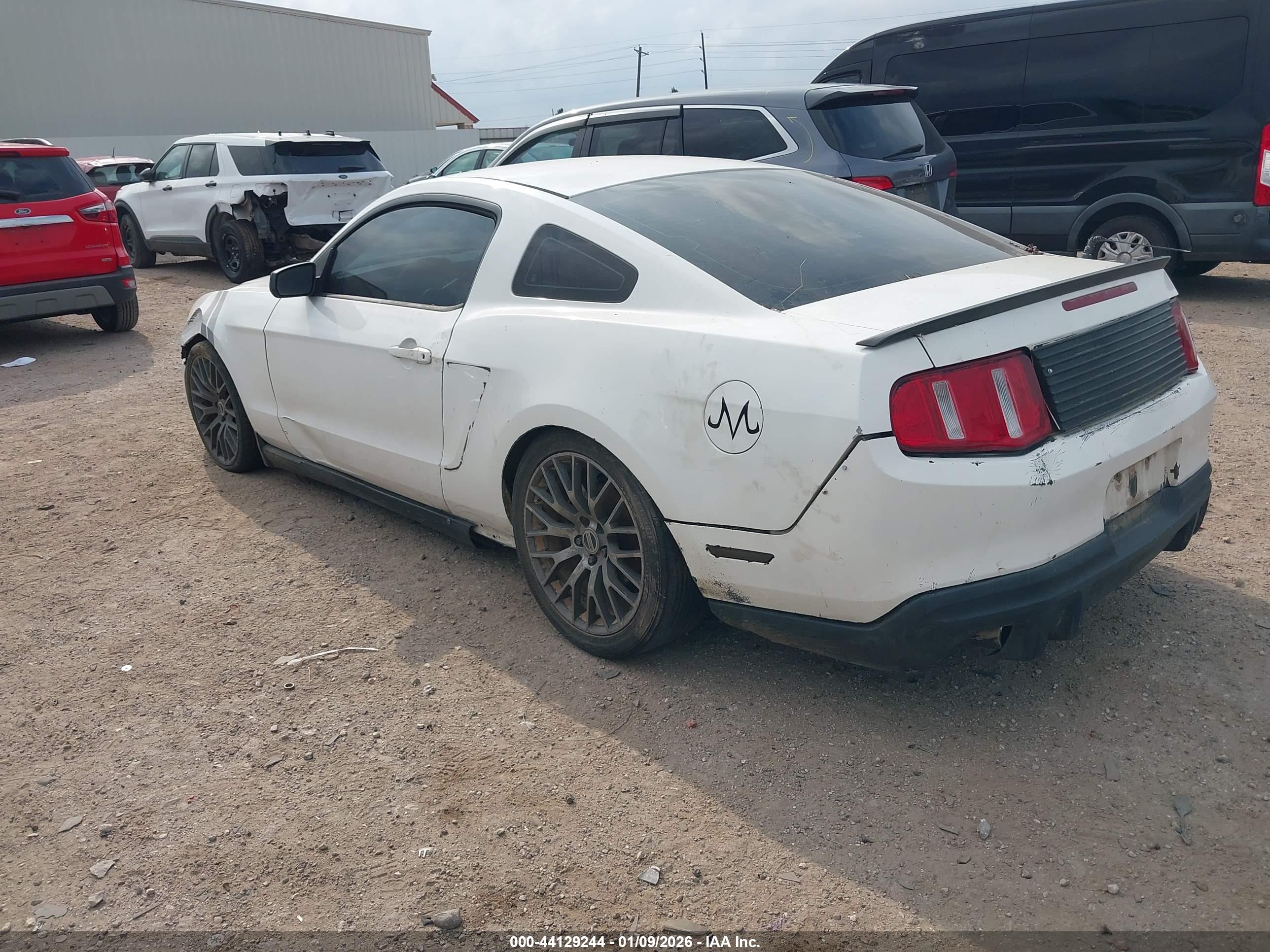 FORD MUSTANG image 3