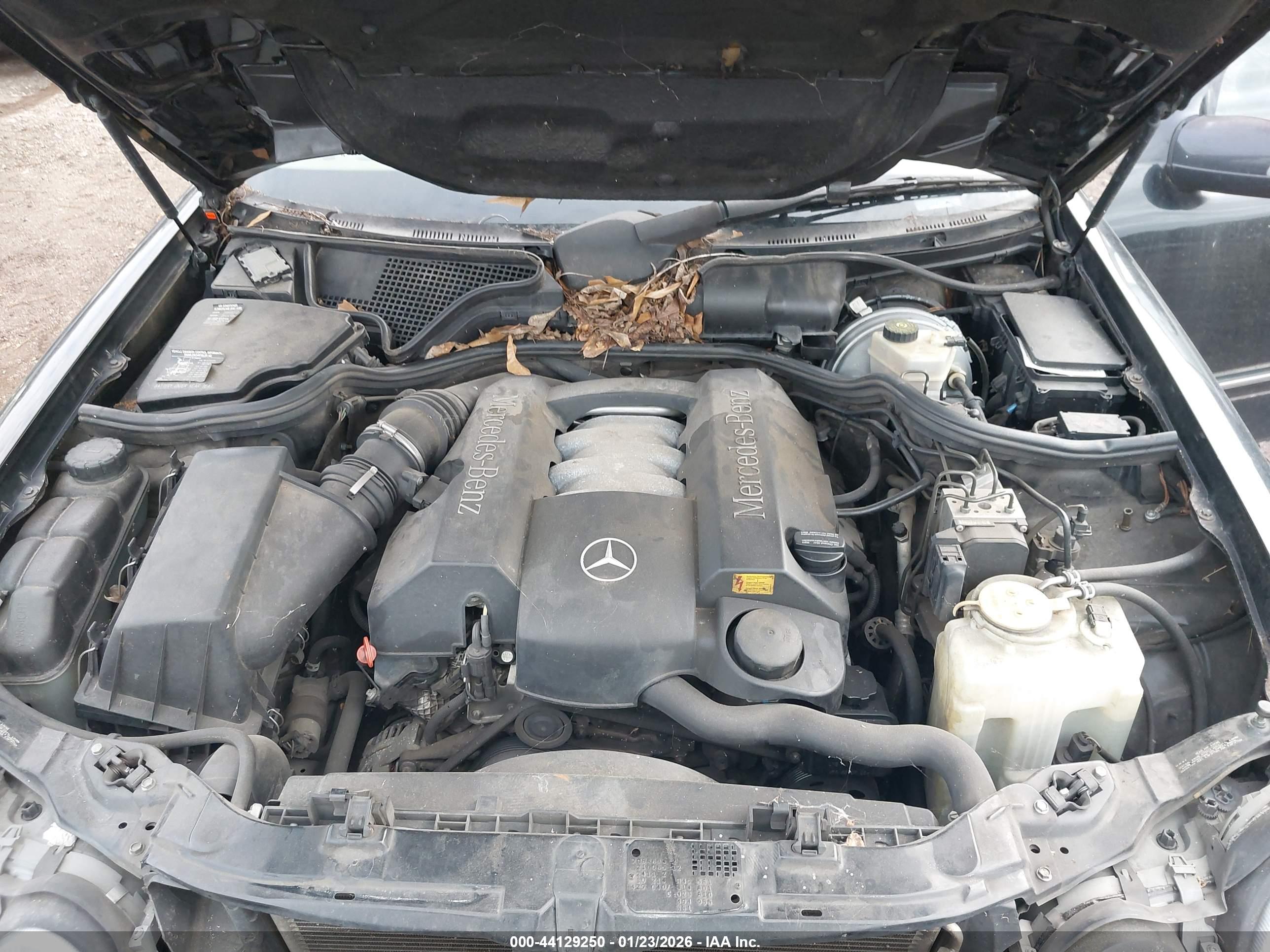 MERCEDES-BENZ E image 10