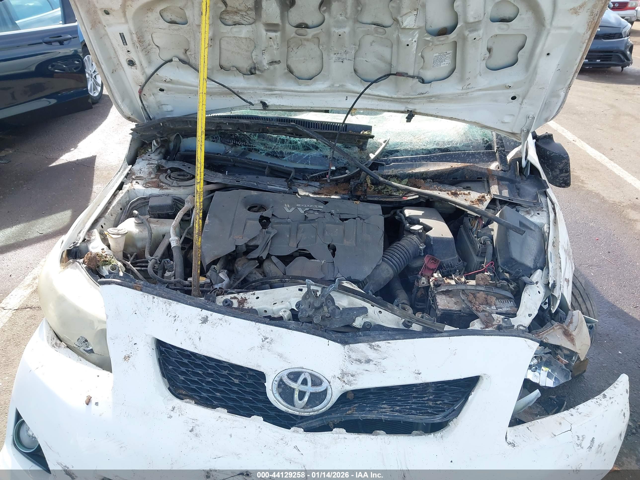 TOYOTA COROLLA image 10