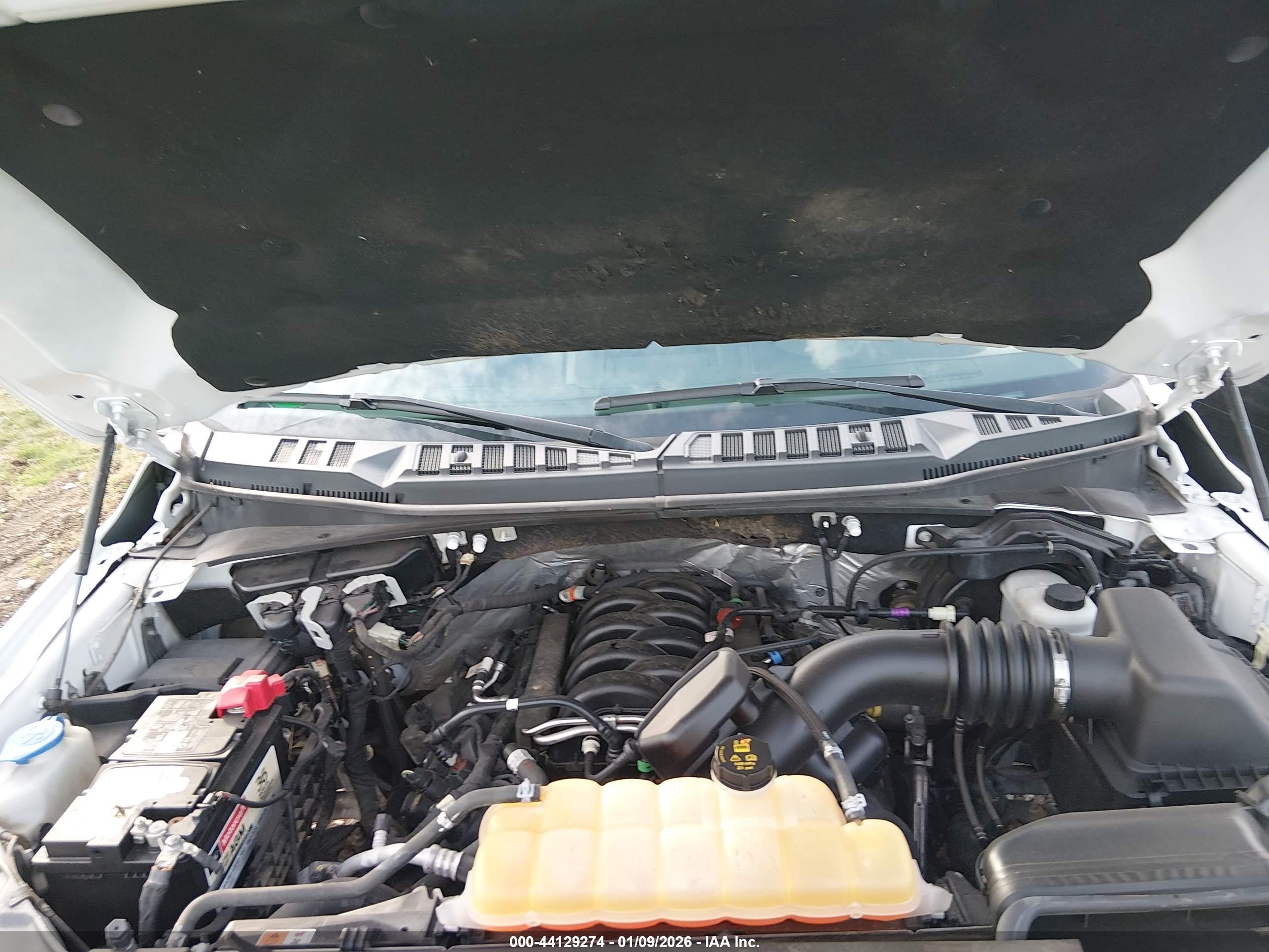 FORD F-150 image 10