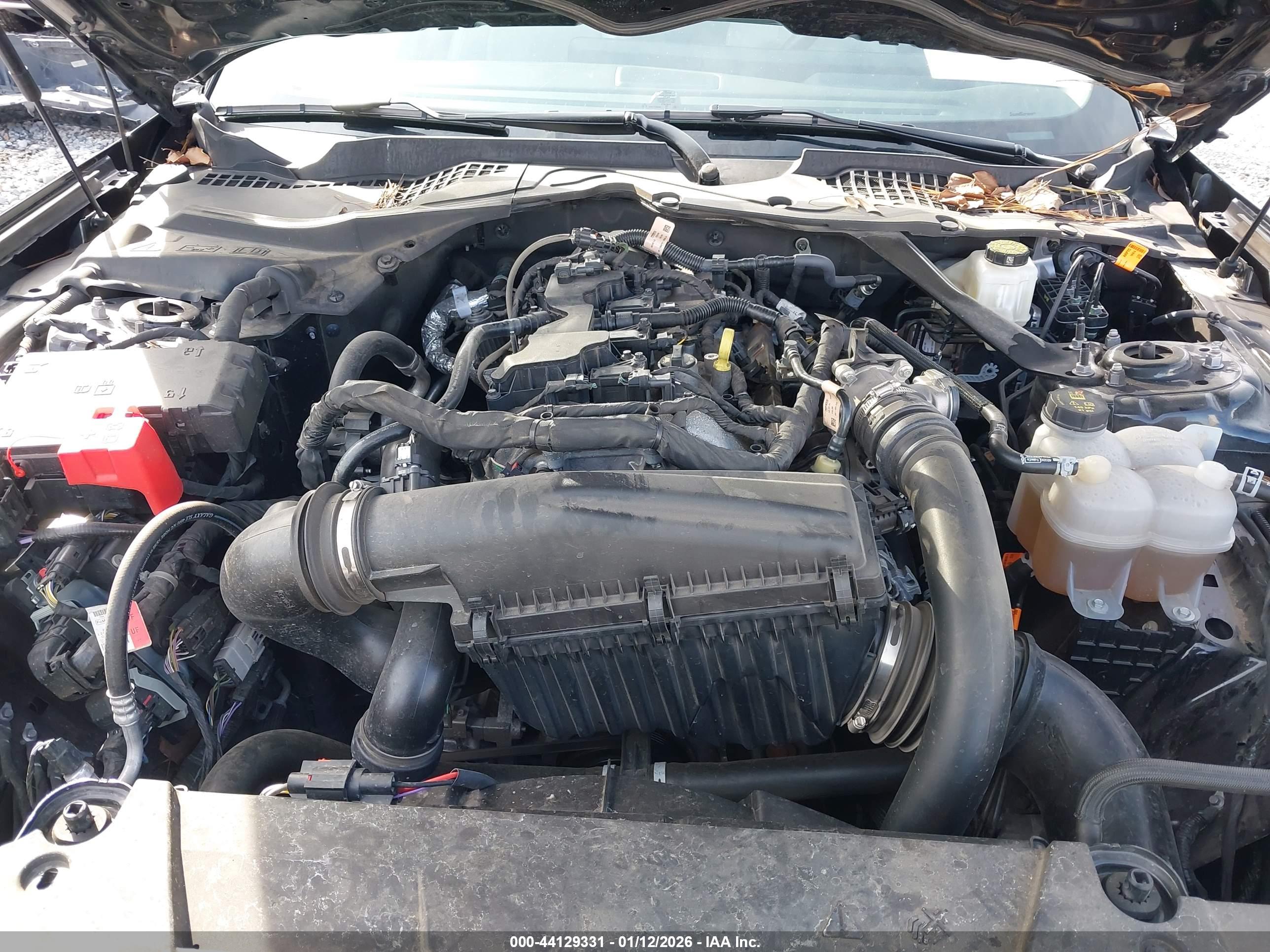 FORD MUSTANG image 10