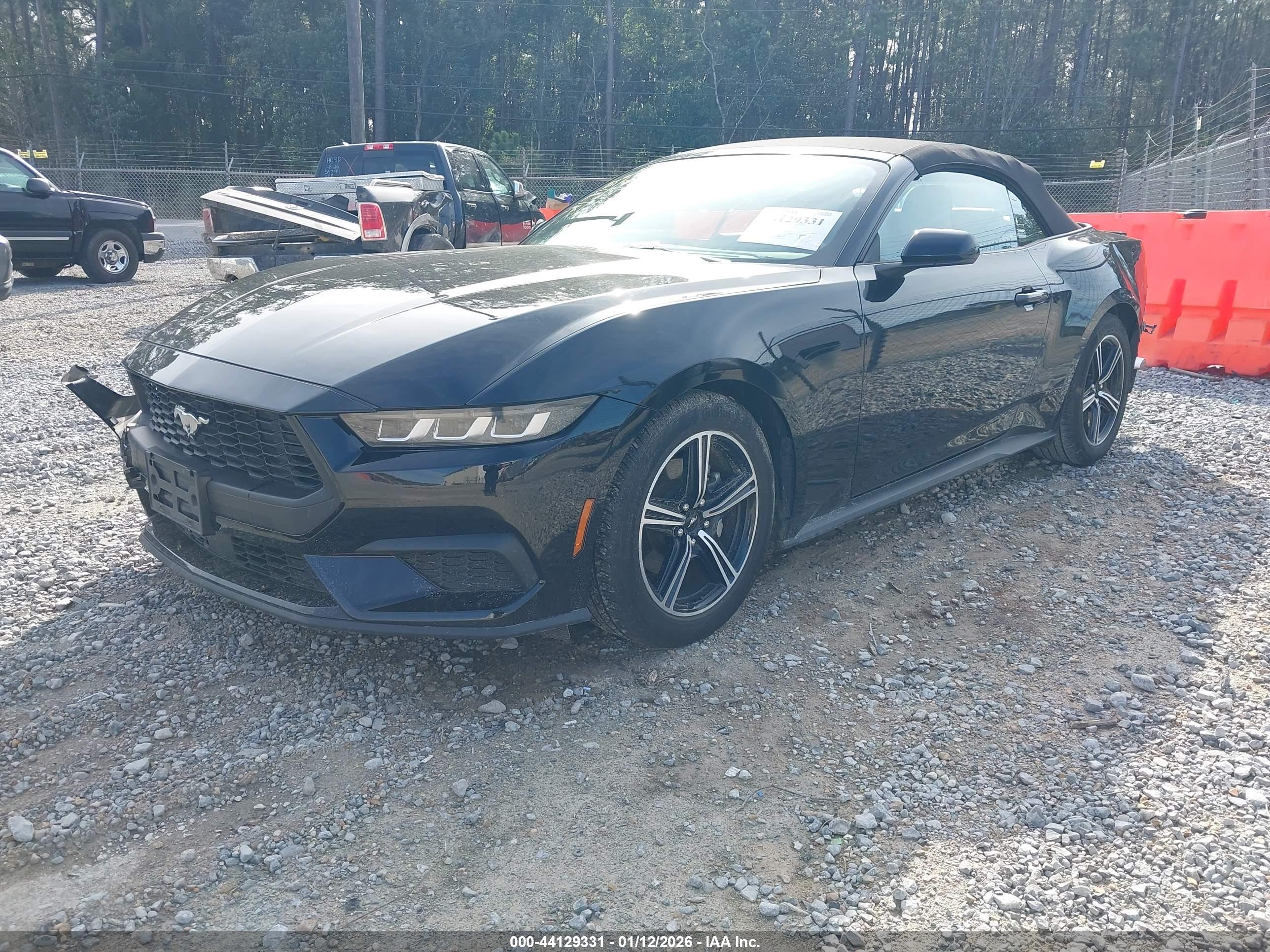 FORD MUSTANG image 2