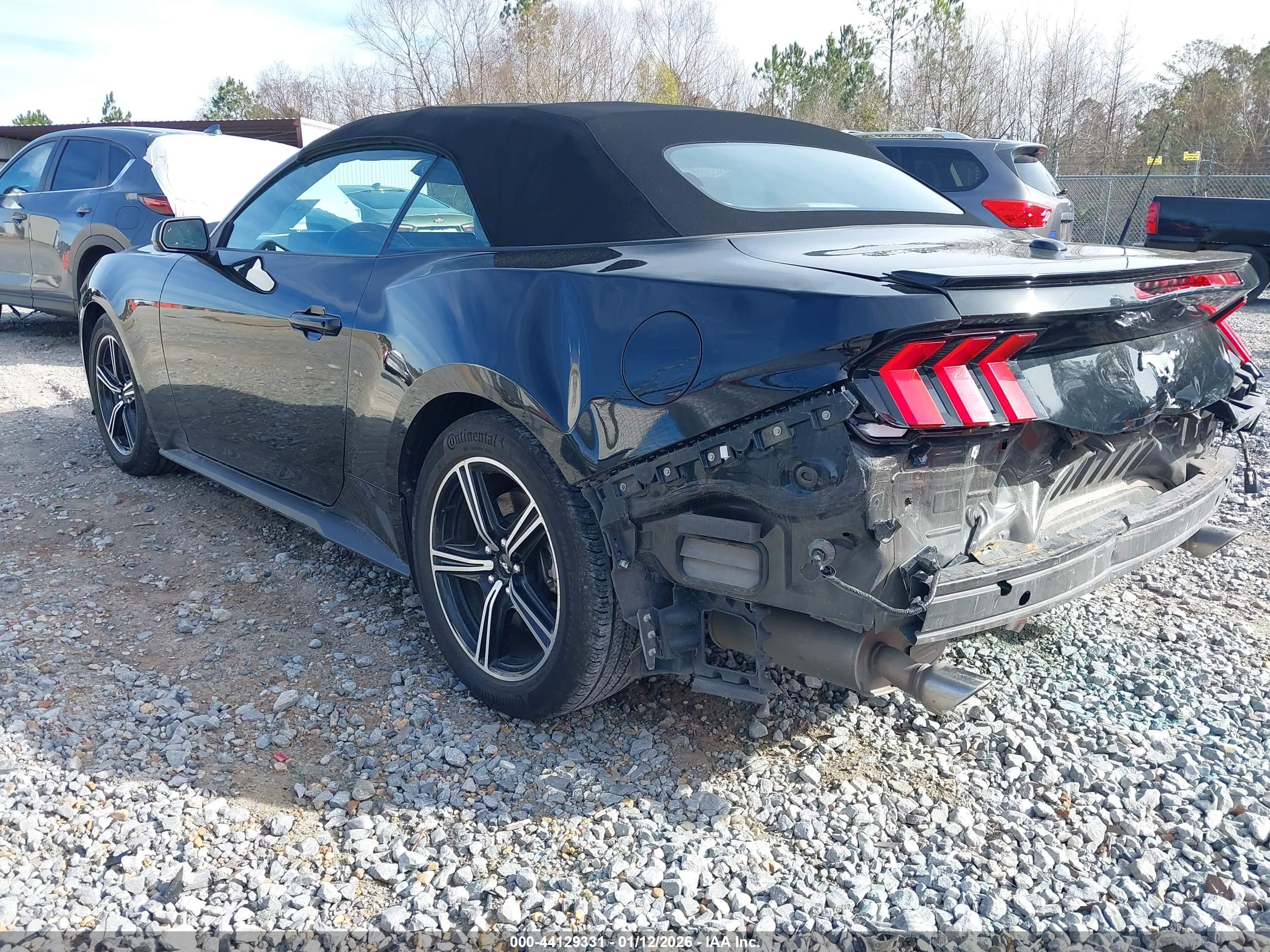 FORD MUSTANG image 3