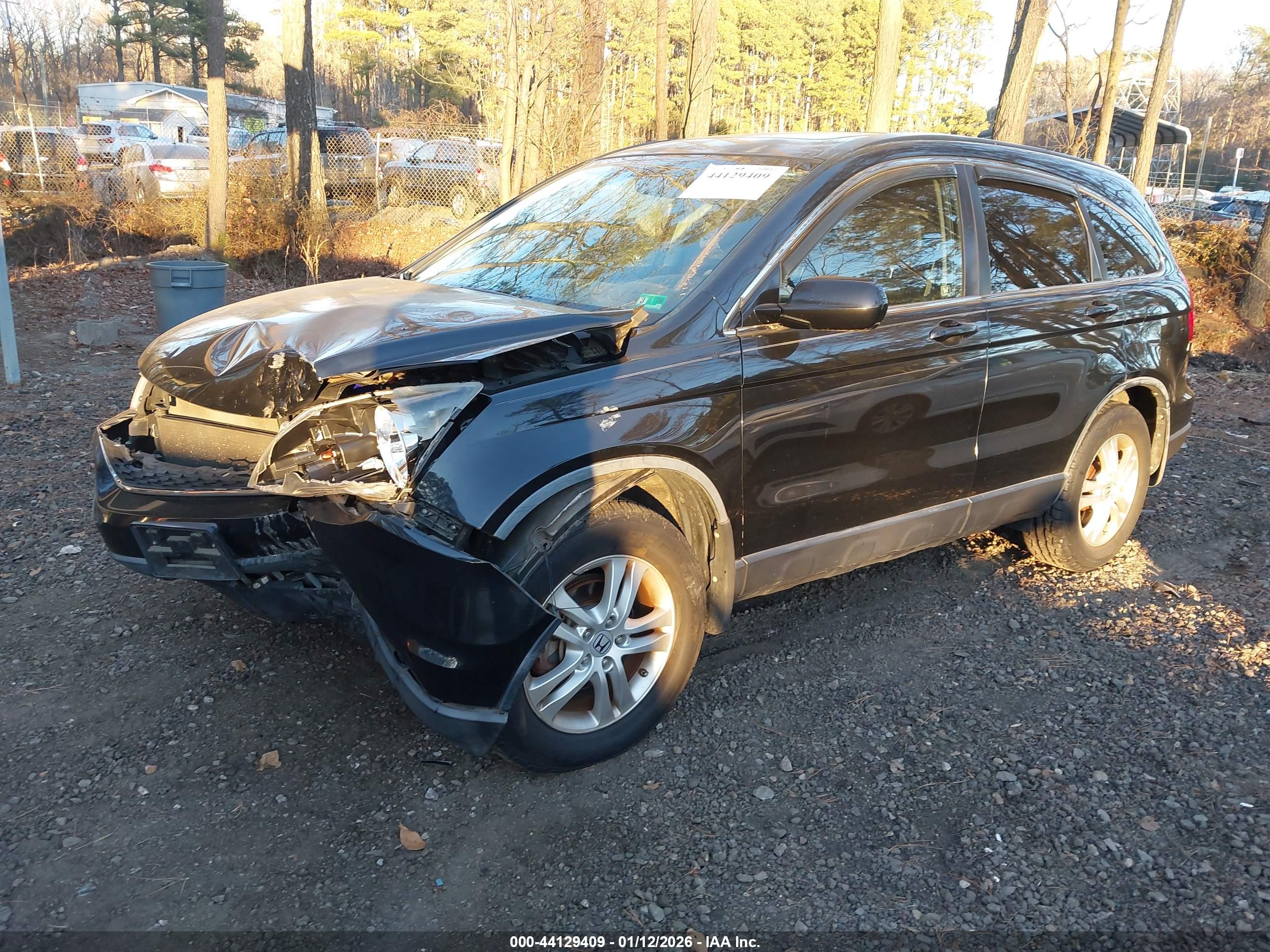 HONDA CR-V image 2