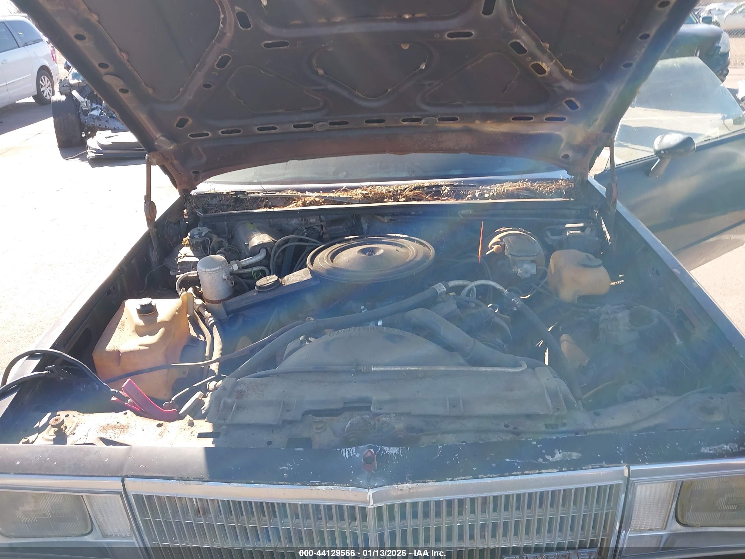 CHEVROLET EL image 10