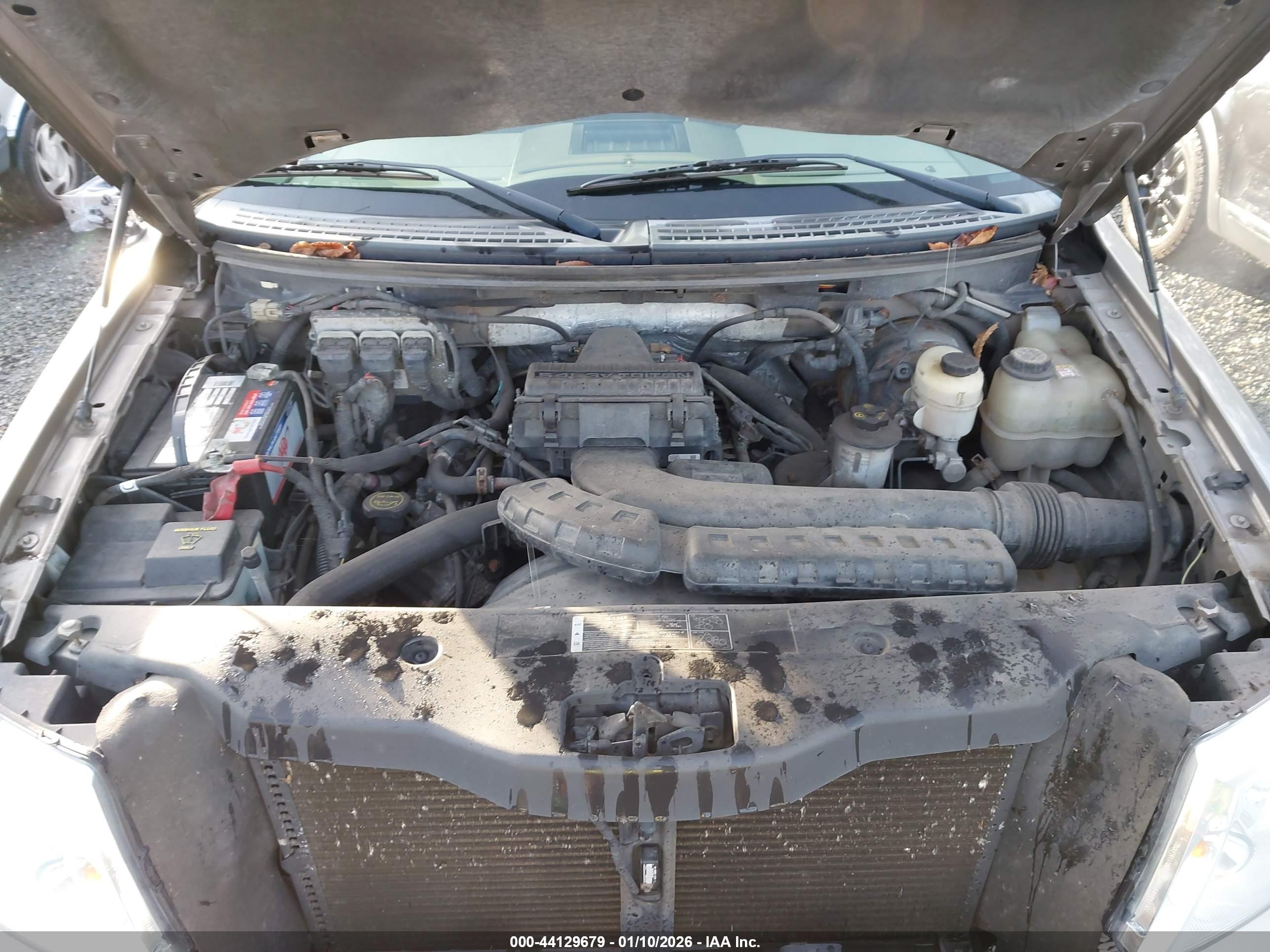 FORD F-150 image 10