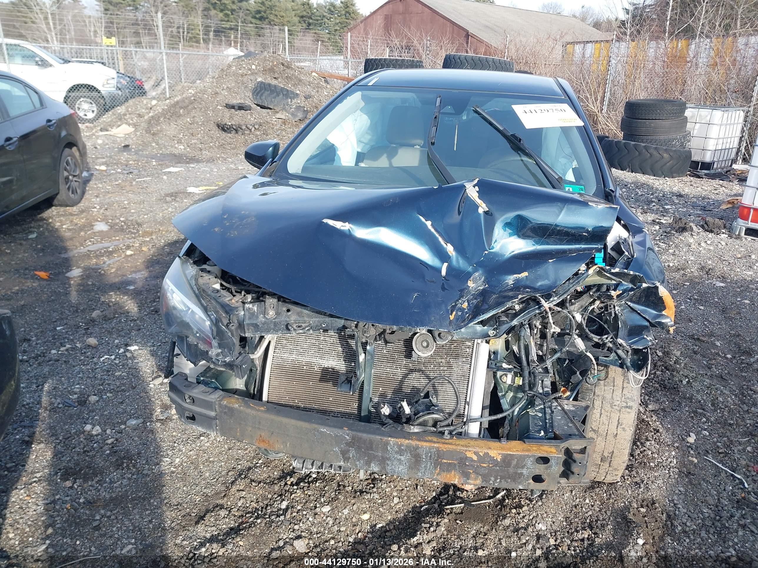 TOYOTA COROLLA image 6