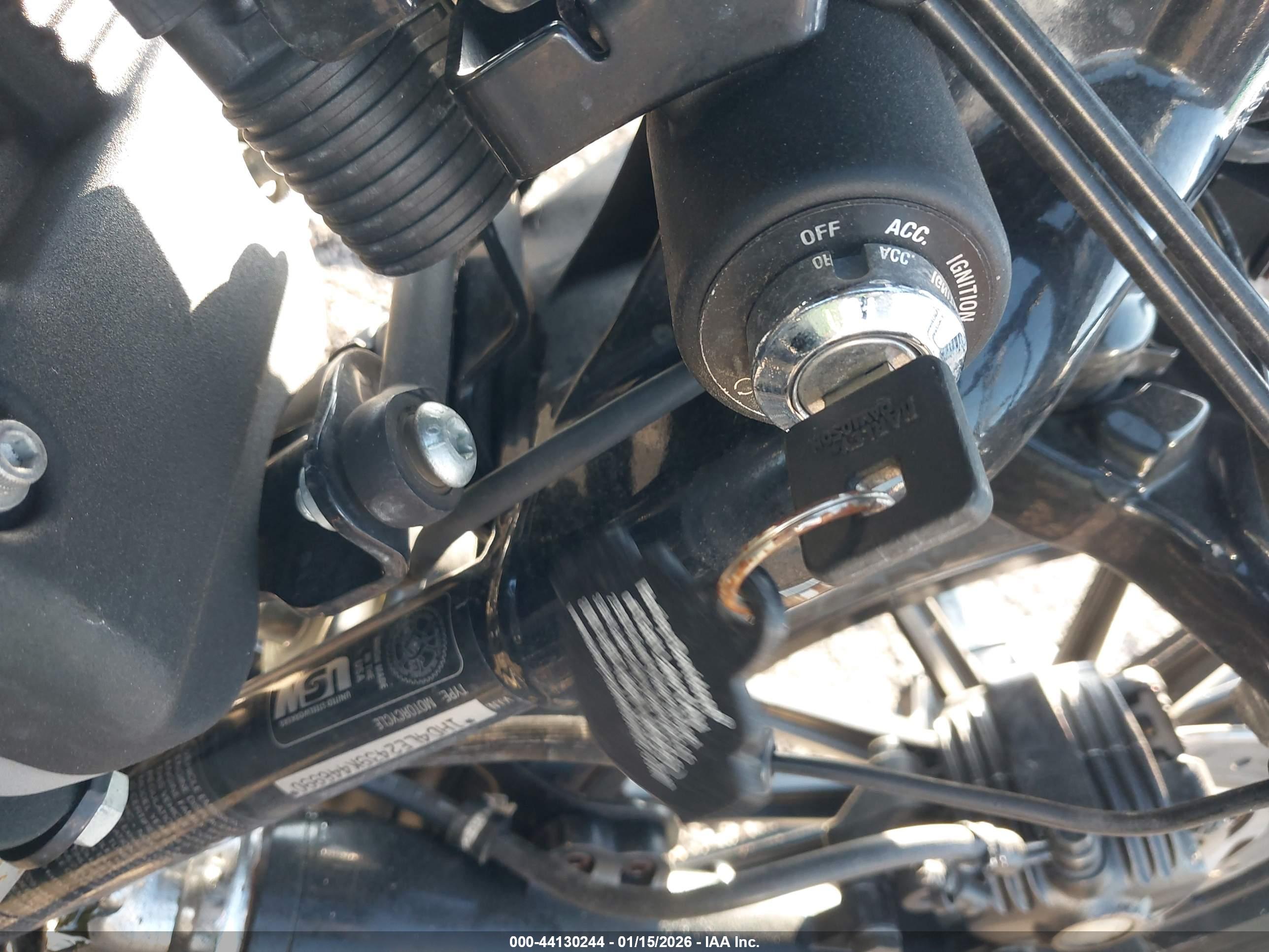 HARLEY-DAVIDSON XL883 image 11