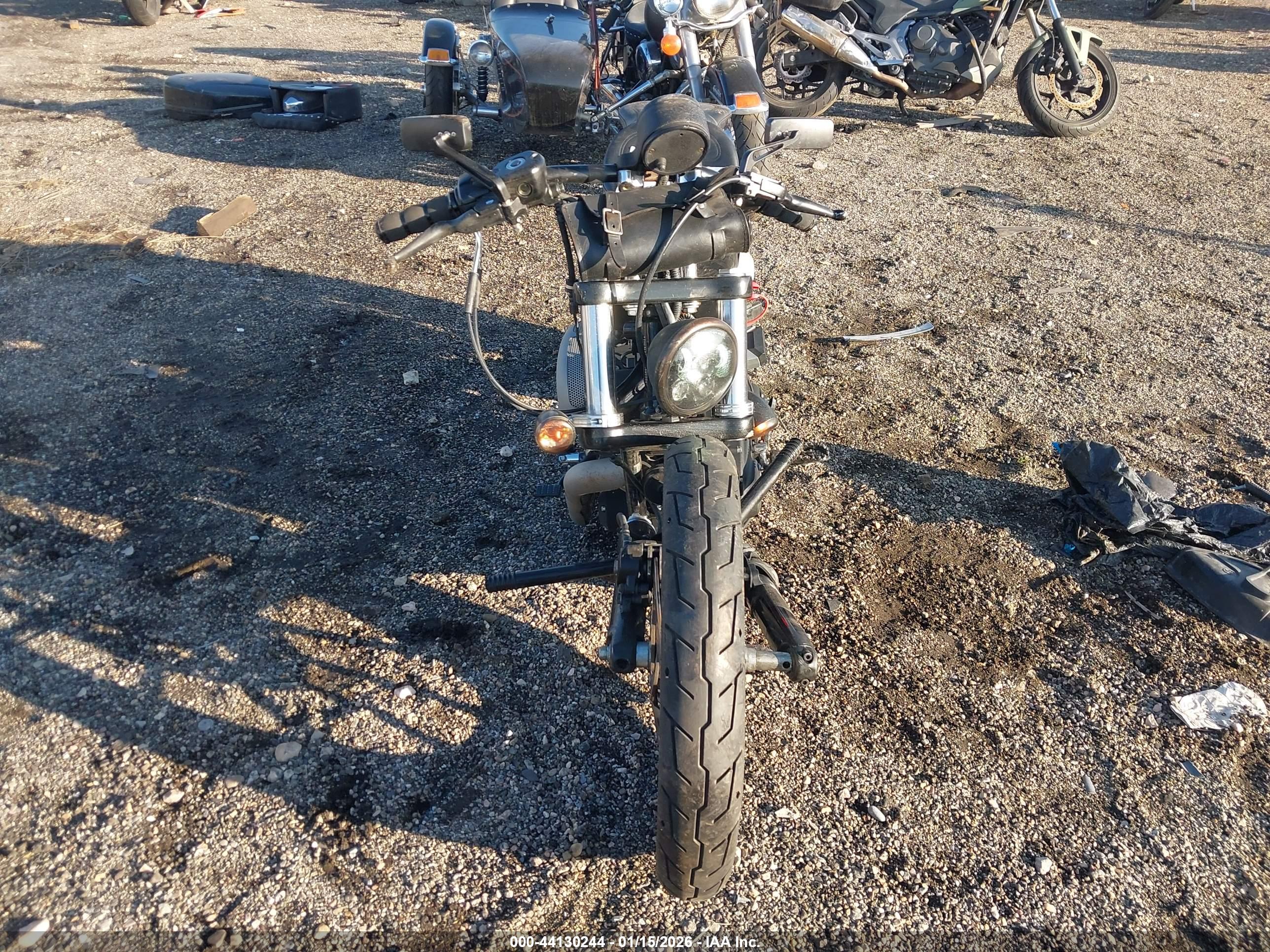 HARLEY-DAVIDSON XL883 image 5