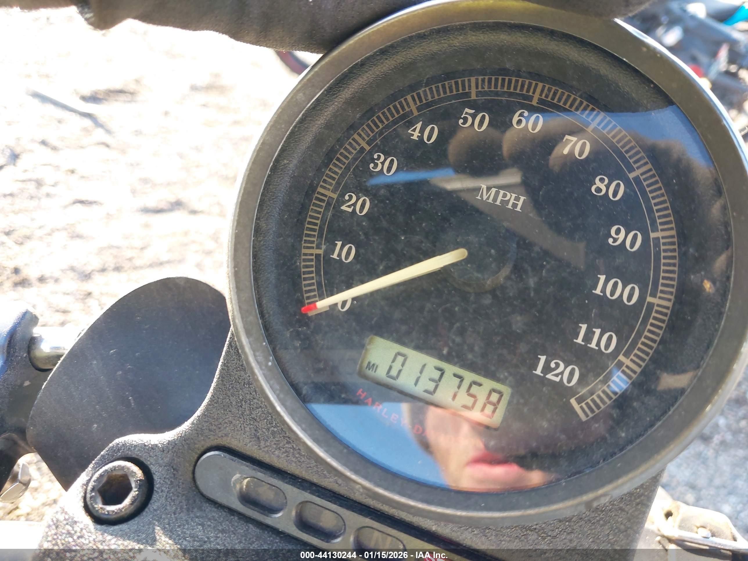 HARLEY-DAVIDSON XL883 image 7