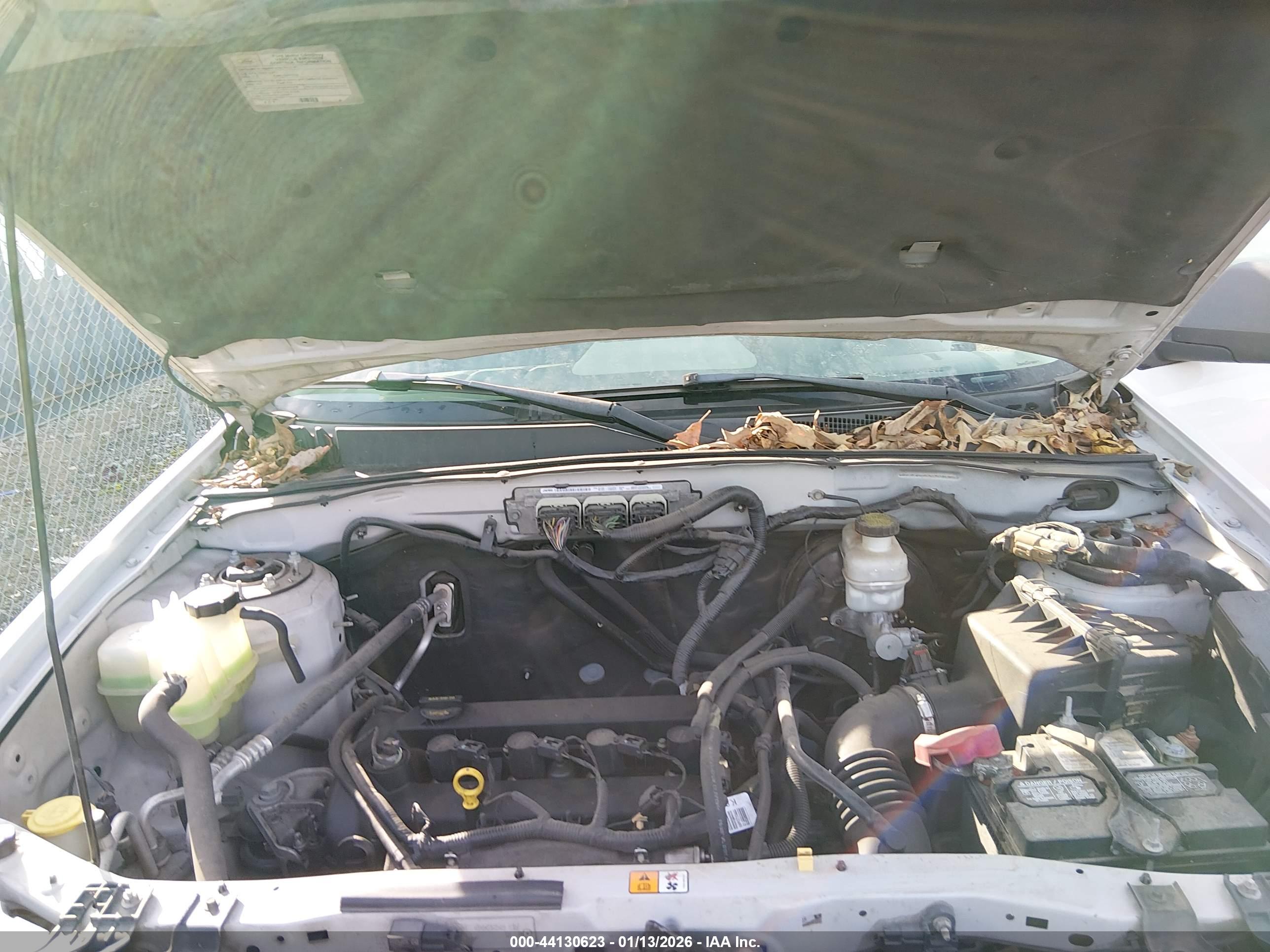 FORD ESCAPE image 10