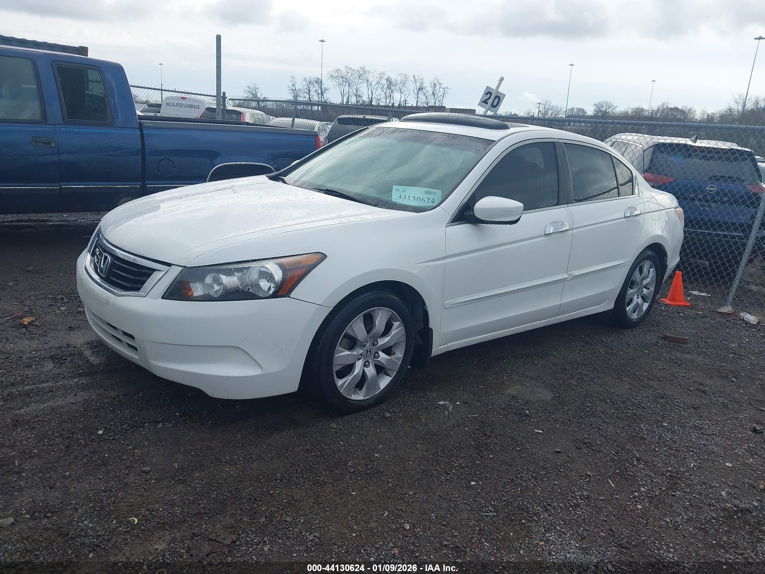 HONDA ACCORD image 2
