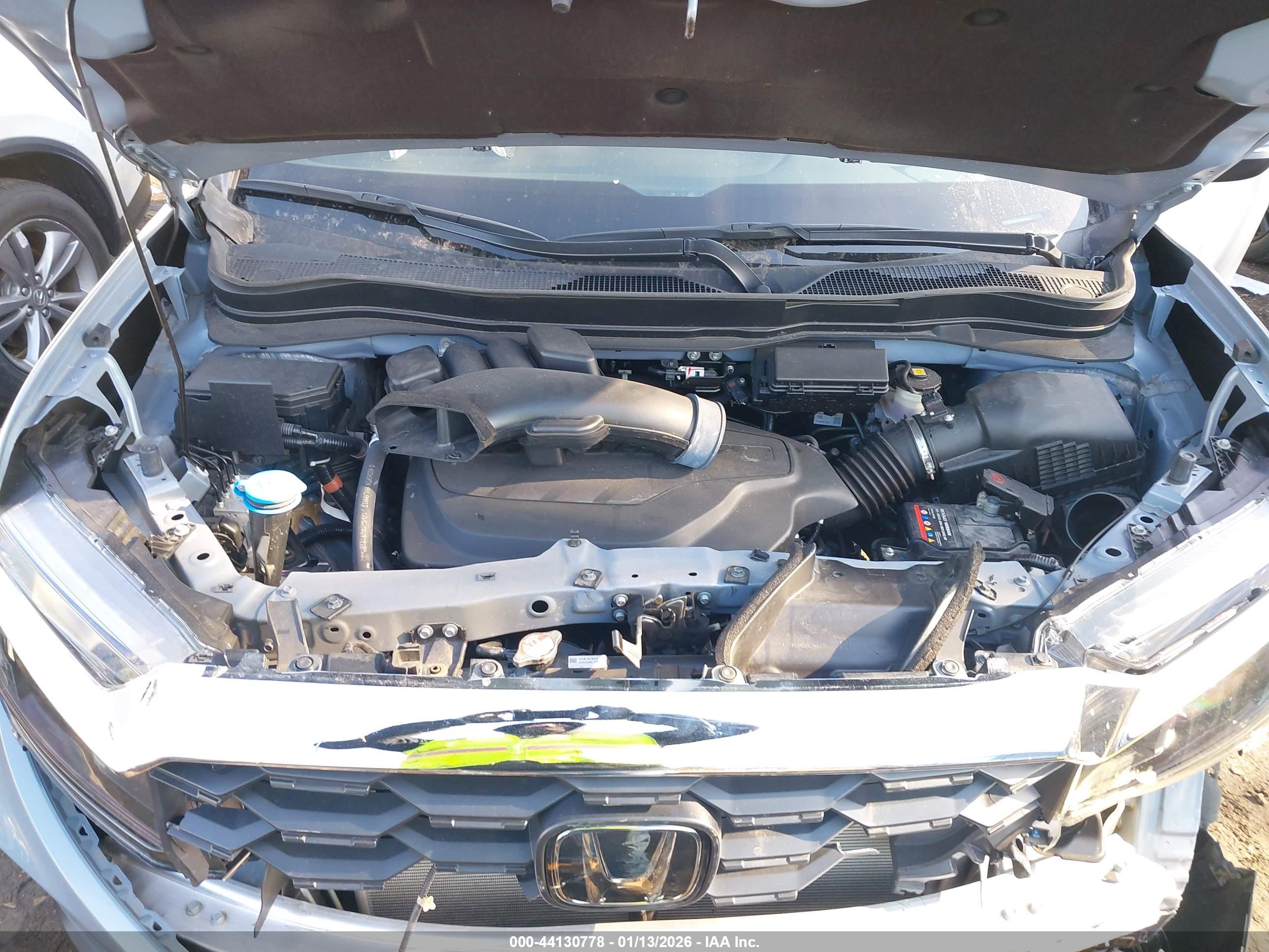 HONDA PASSPORT image 10
