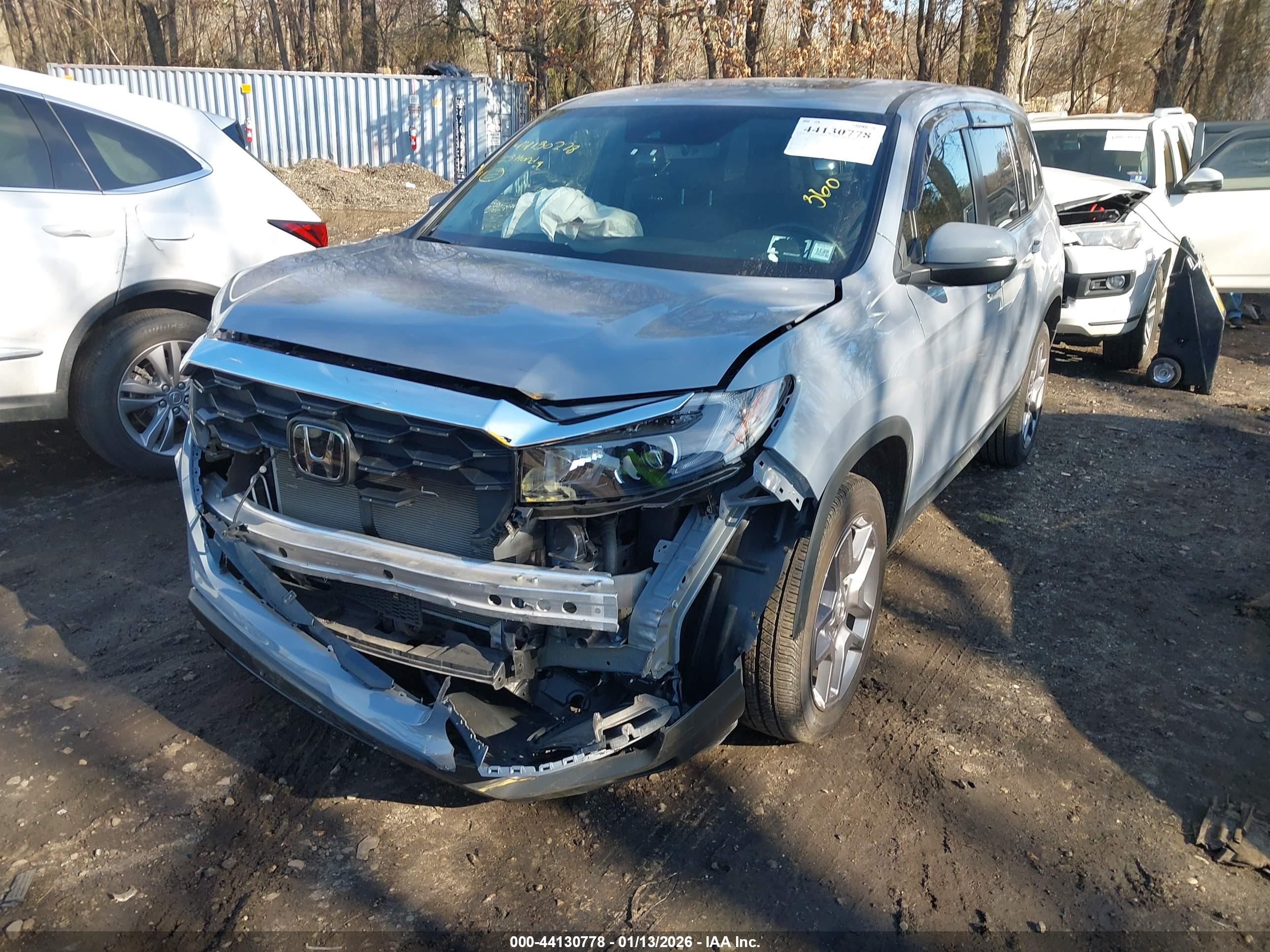 HONDA PASSPORT image 6