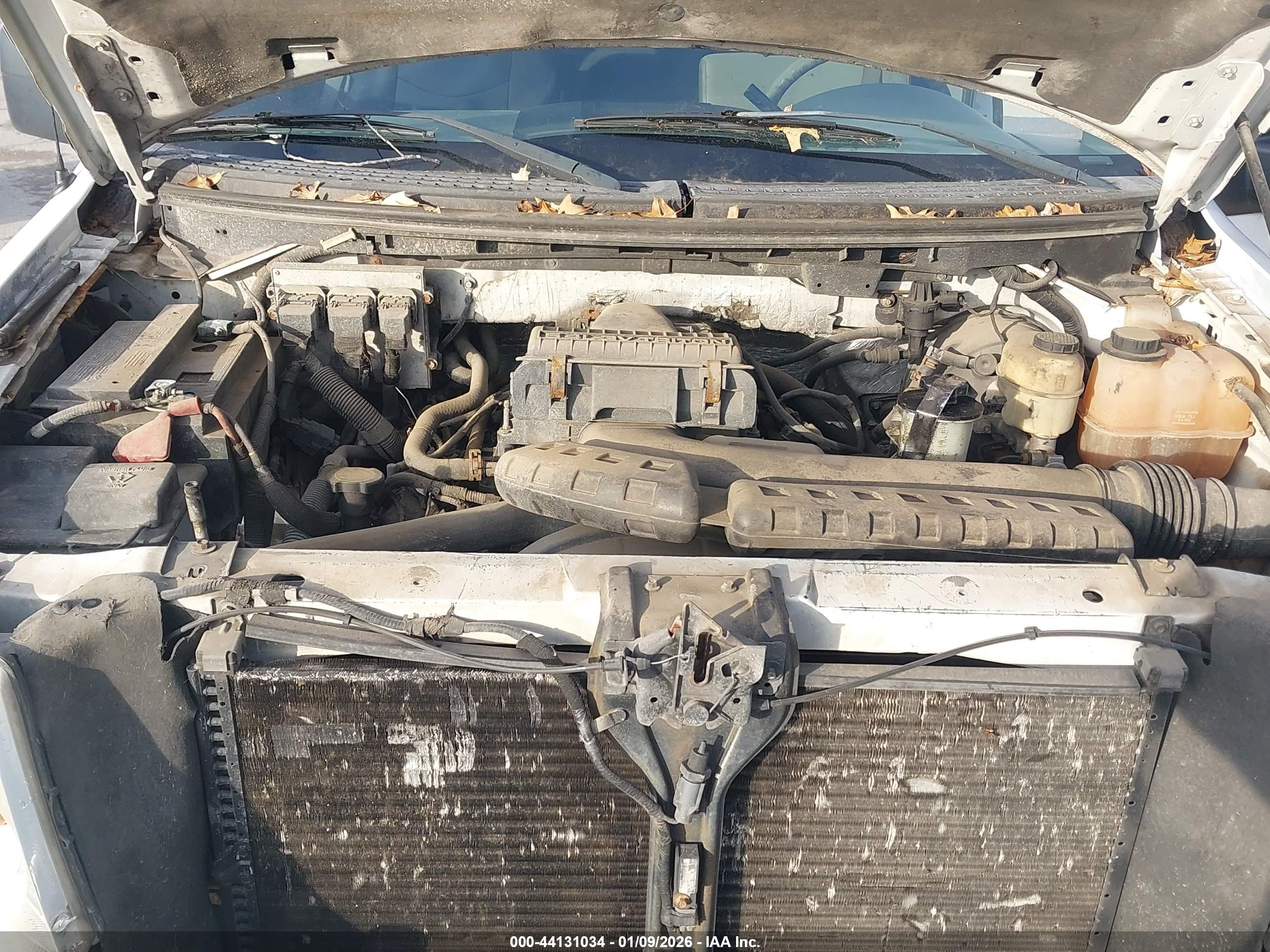 FORD F-150 image 10