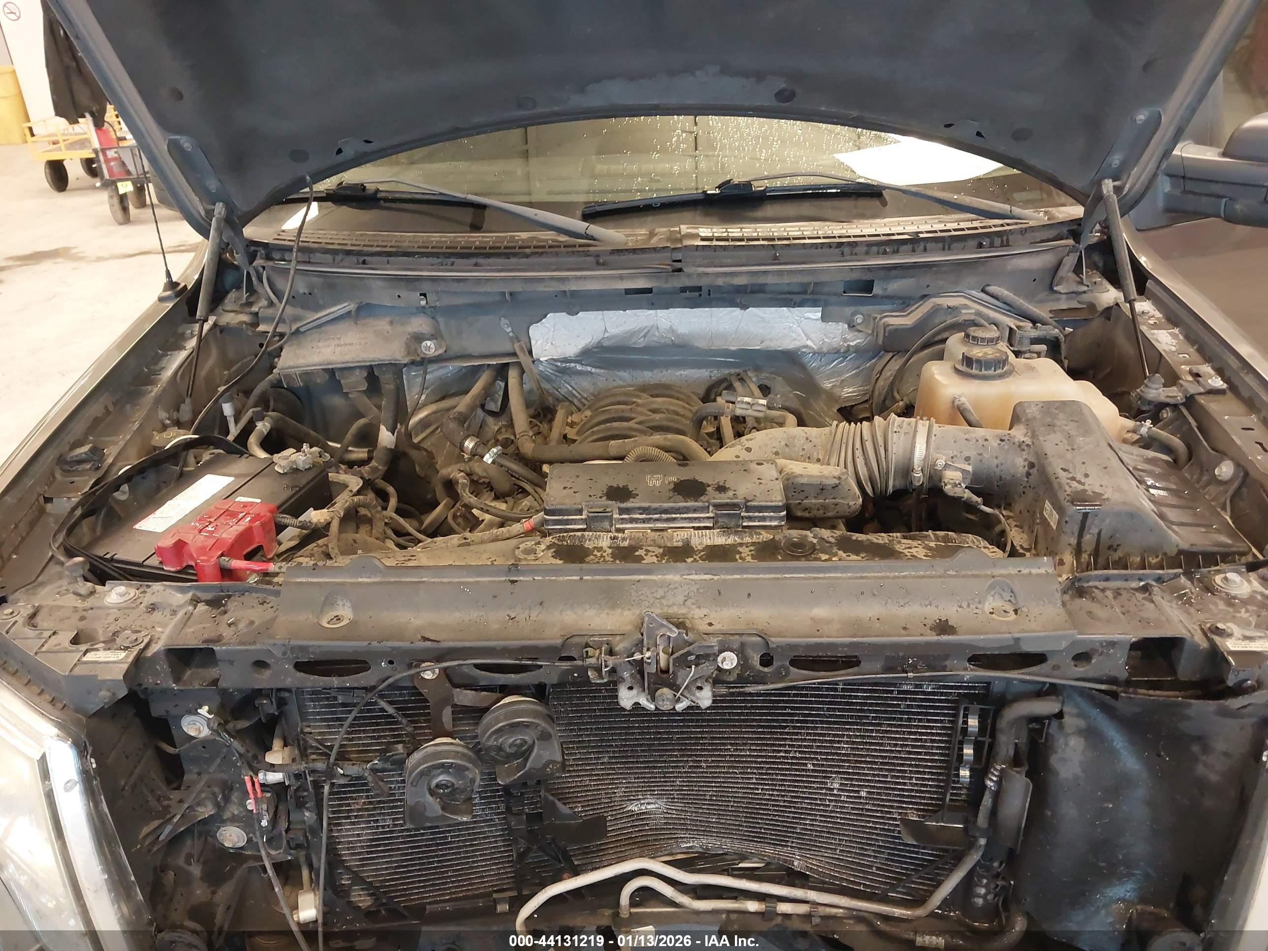 FORD F-150 image 10