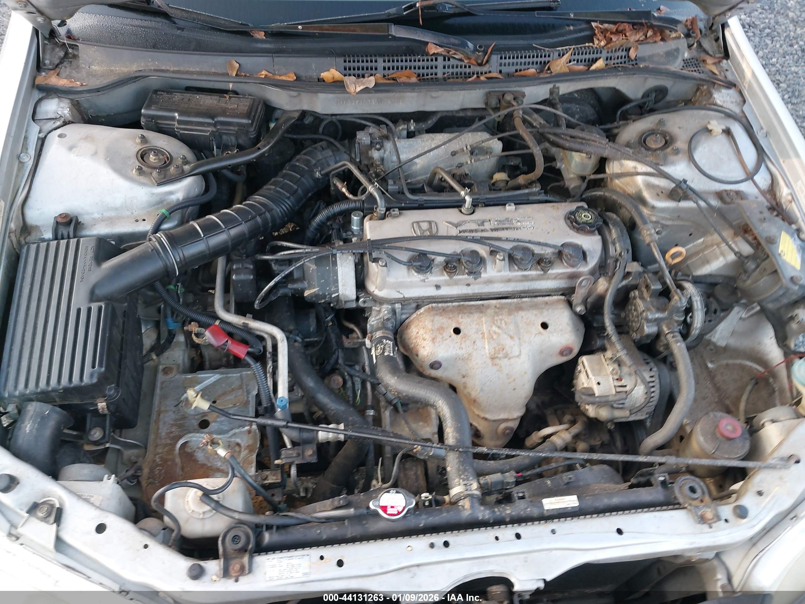 HONDA ACCORD image 10