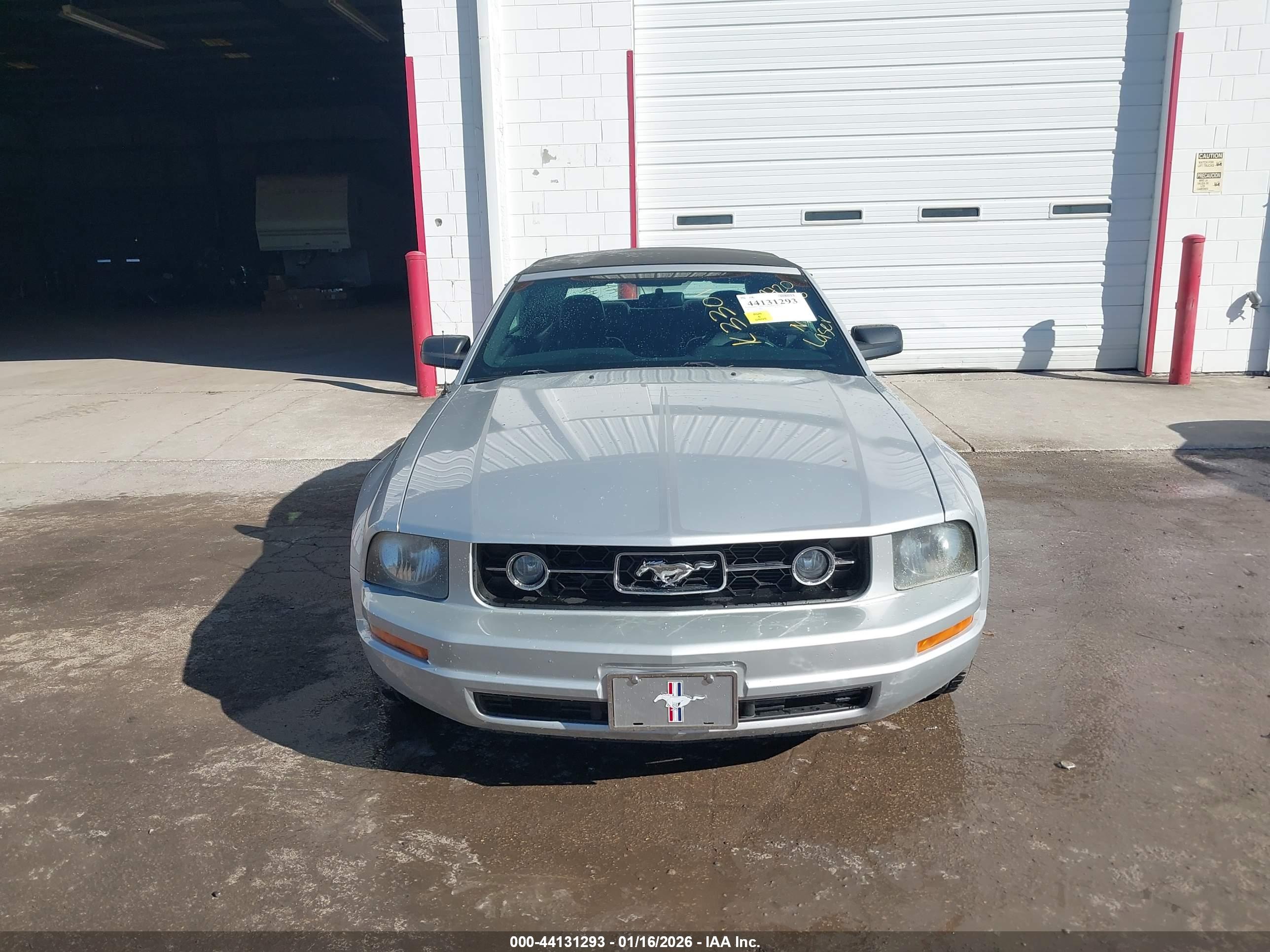 FORD MUSTANG image 6