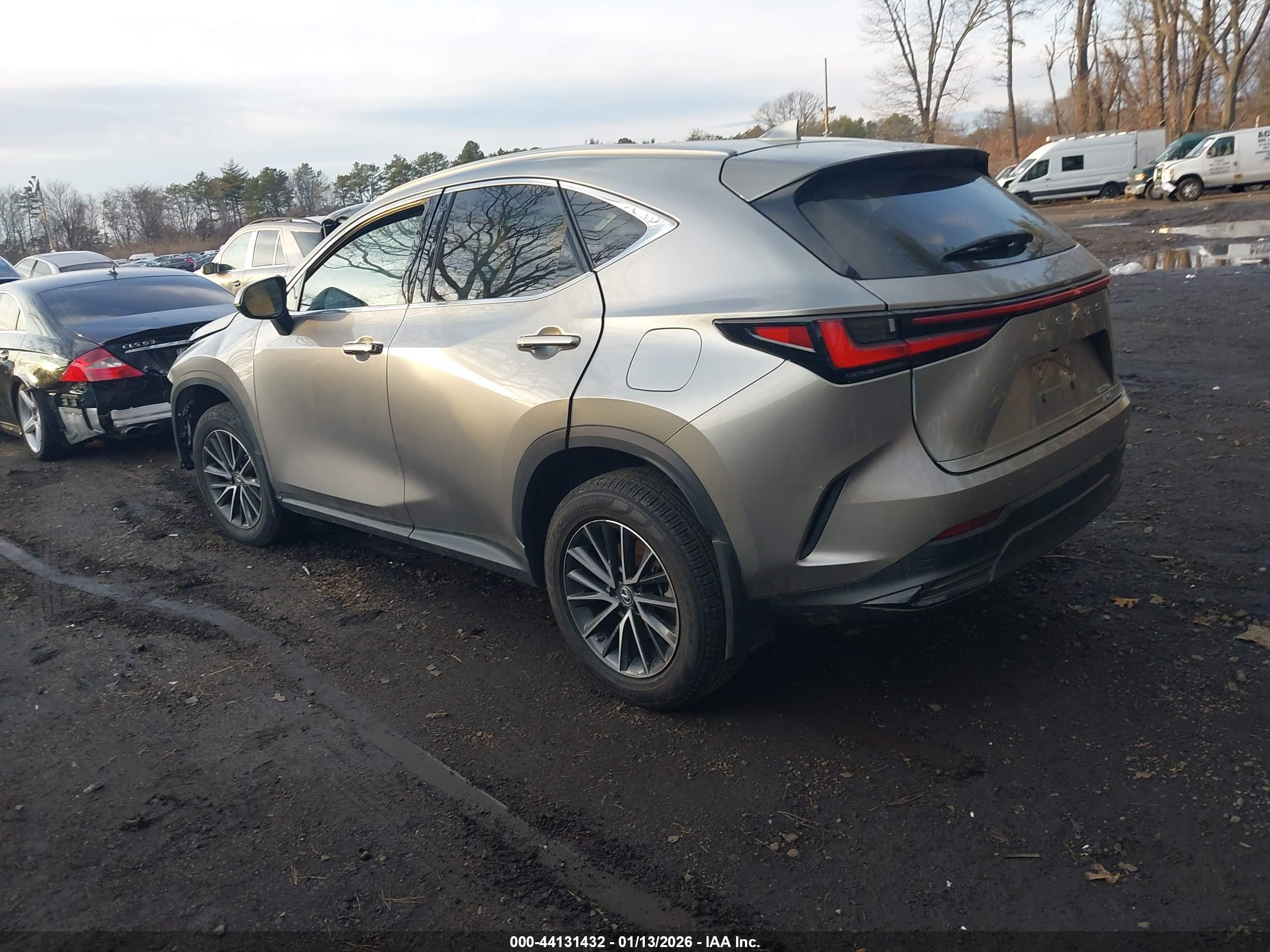 LEXUS NX image 3