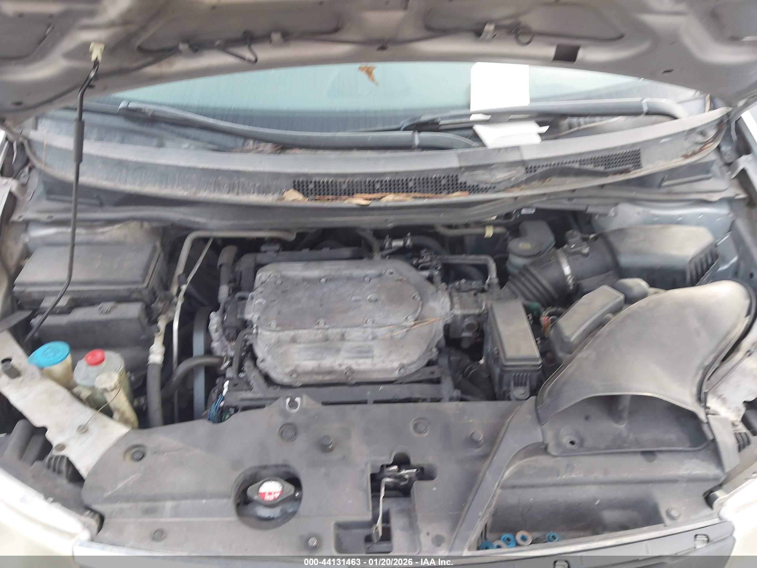 HONDA ODYSSEY image 10