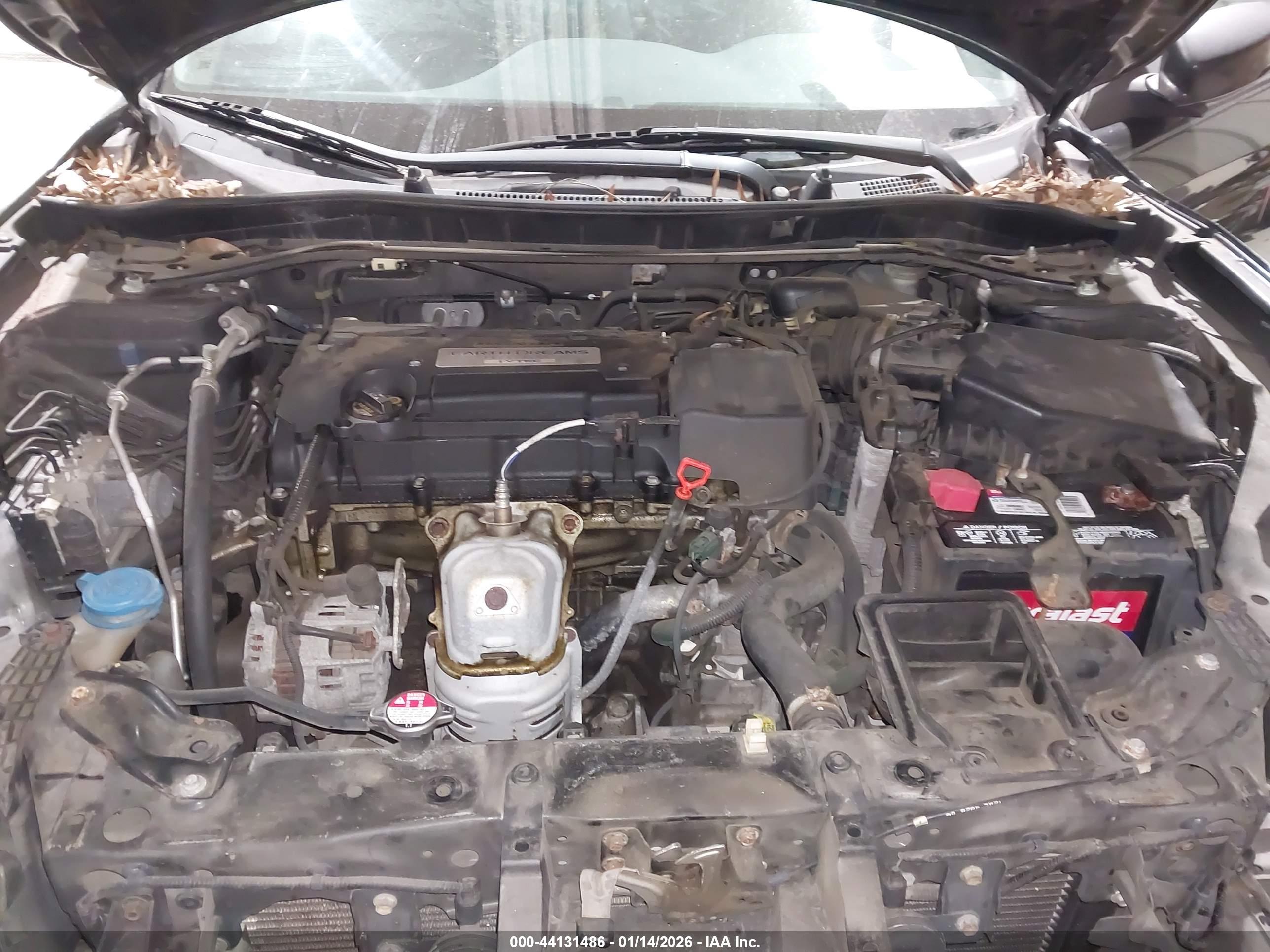 HONDA ACCORD image 10