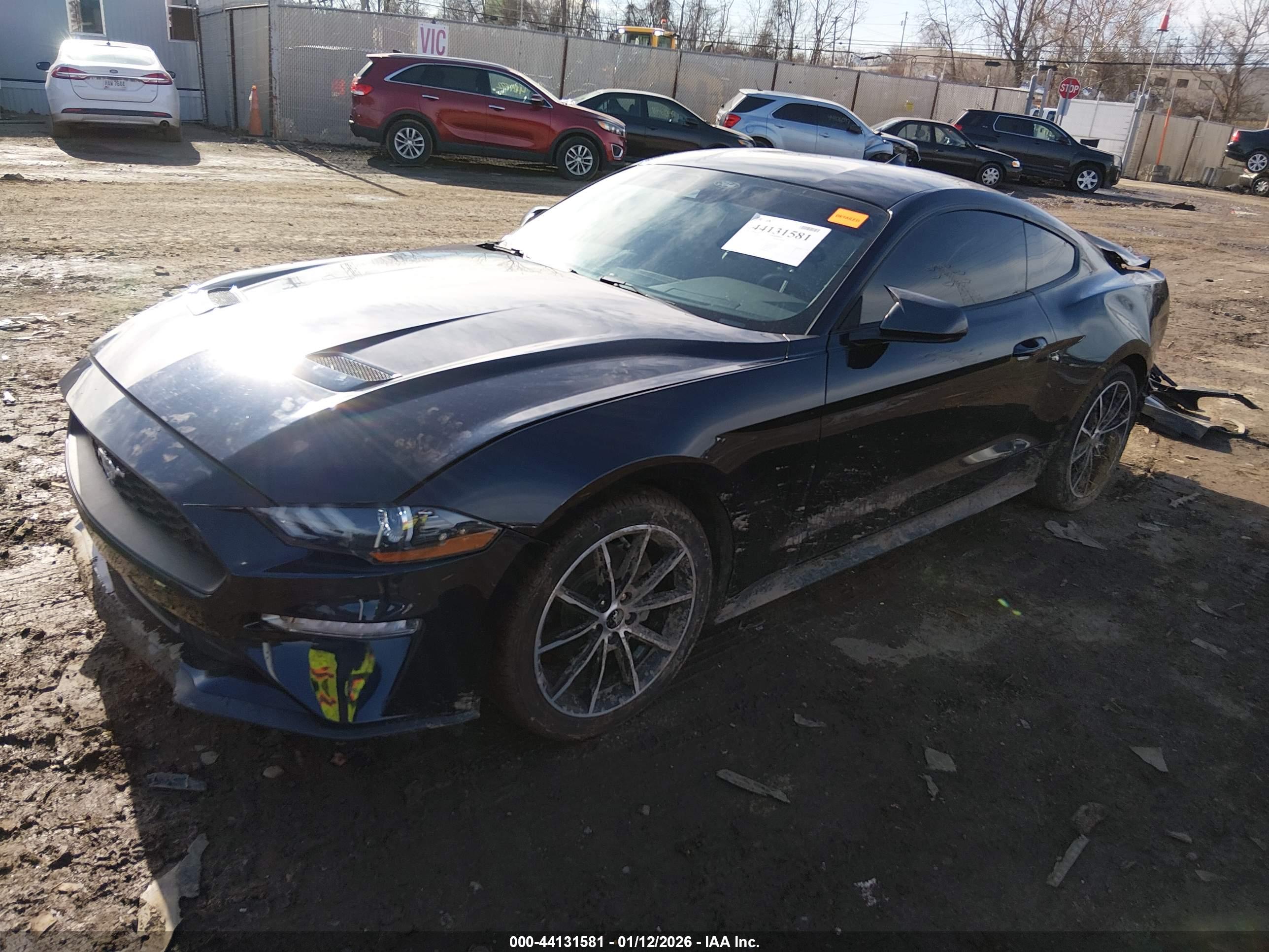 FORD MUSTANG image 2