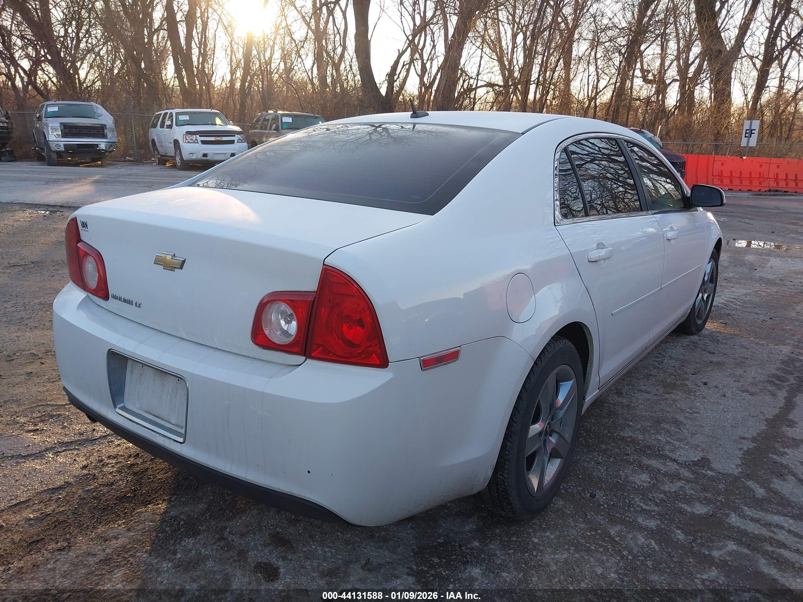 CHEVROLET MALIBU image 4