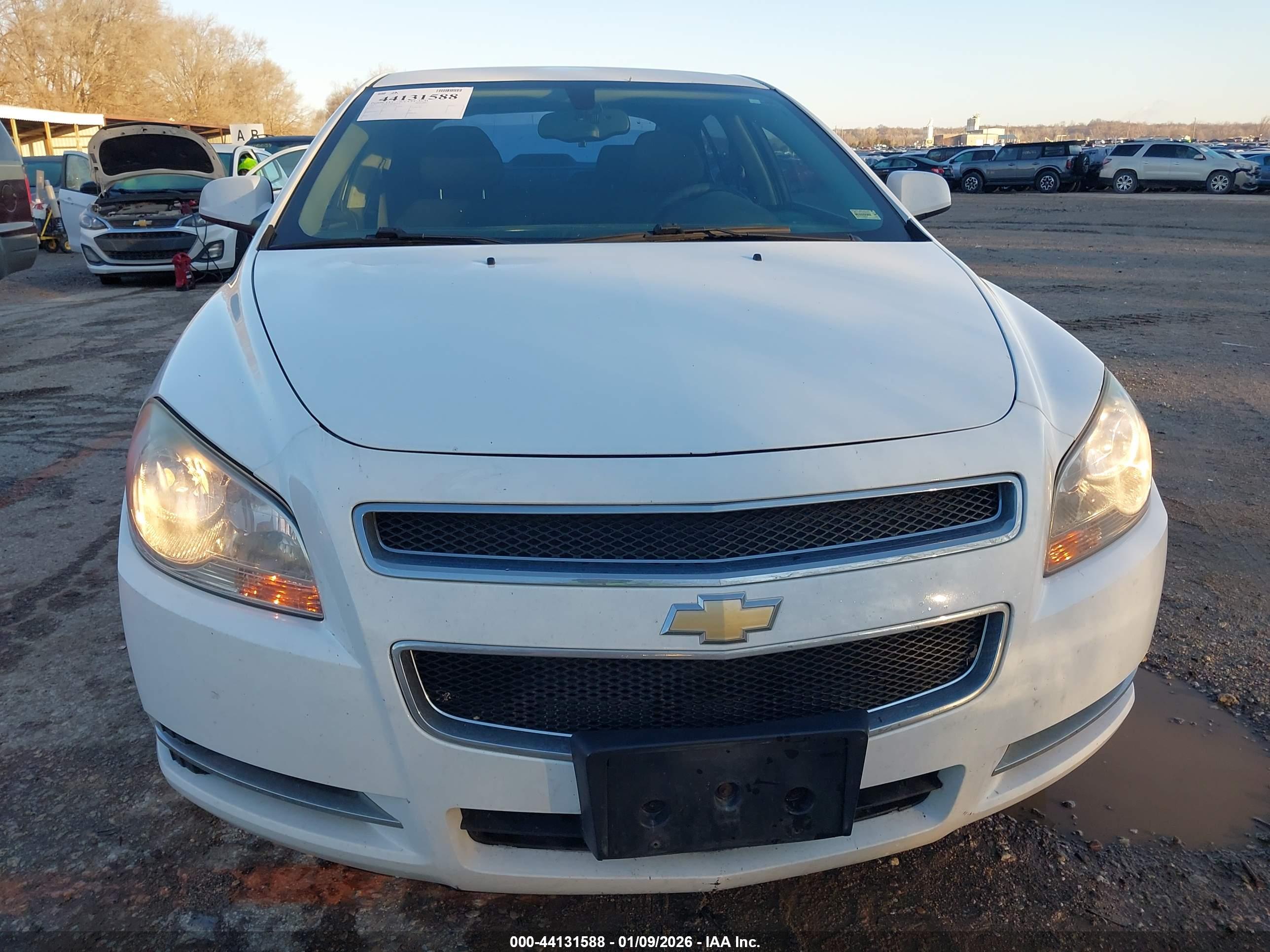 CHEVROLET MALIBU image 6