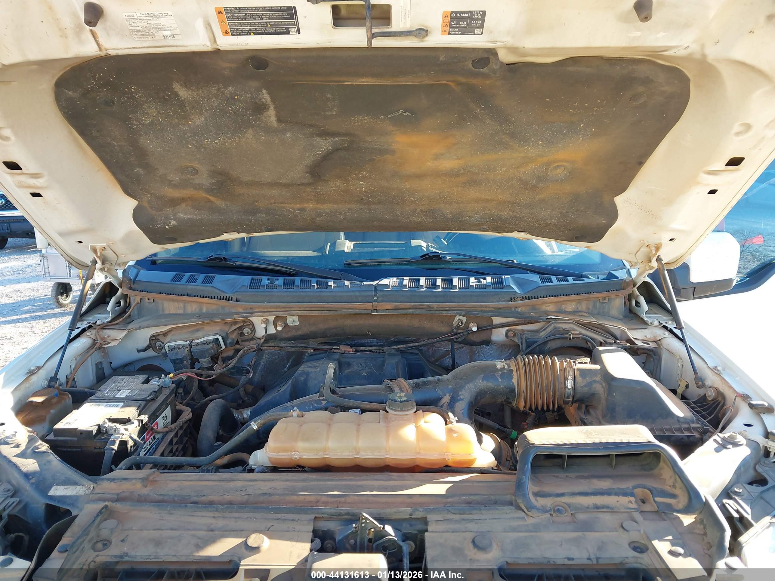 FORD F-150 image 10
