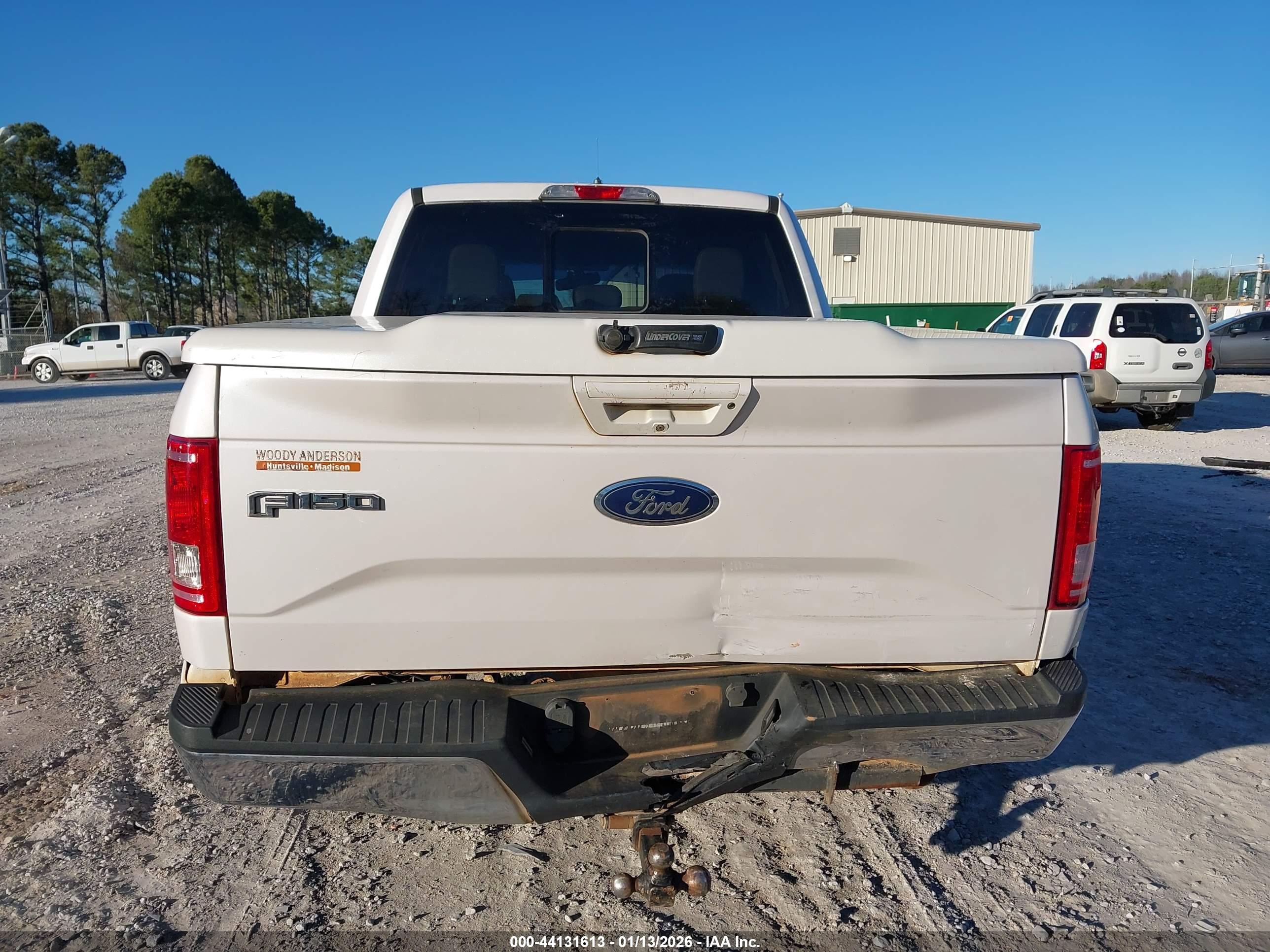 FORD F-150 image 6