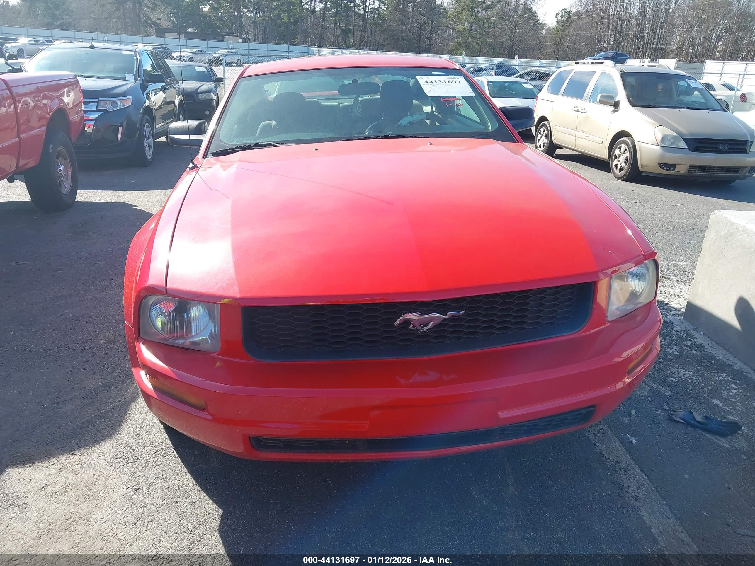 FORD MUSTANG image 6