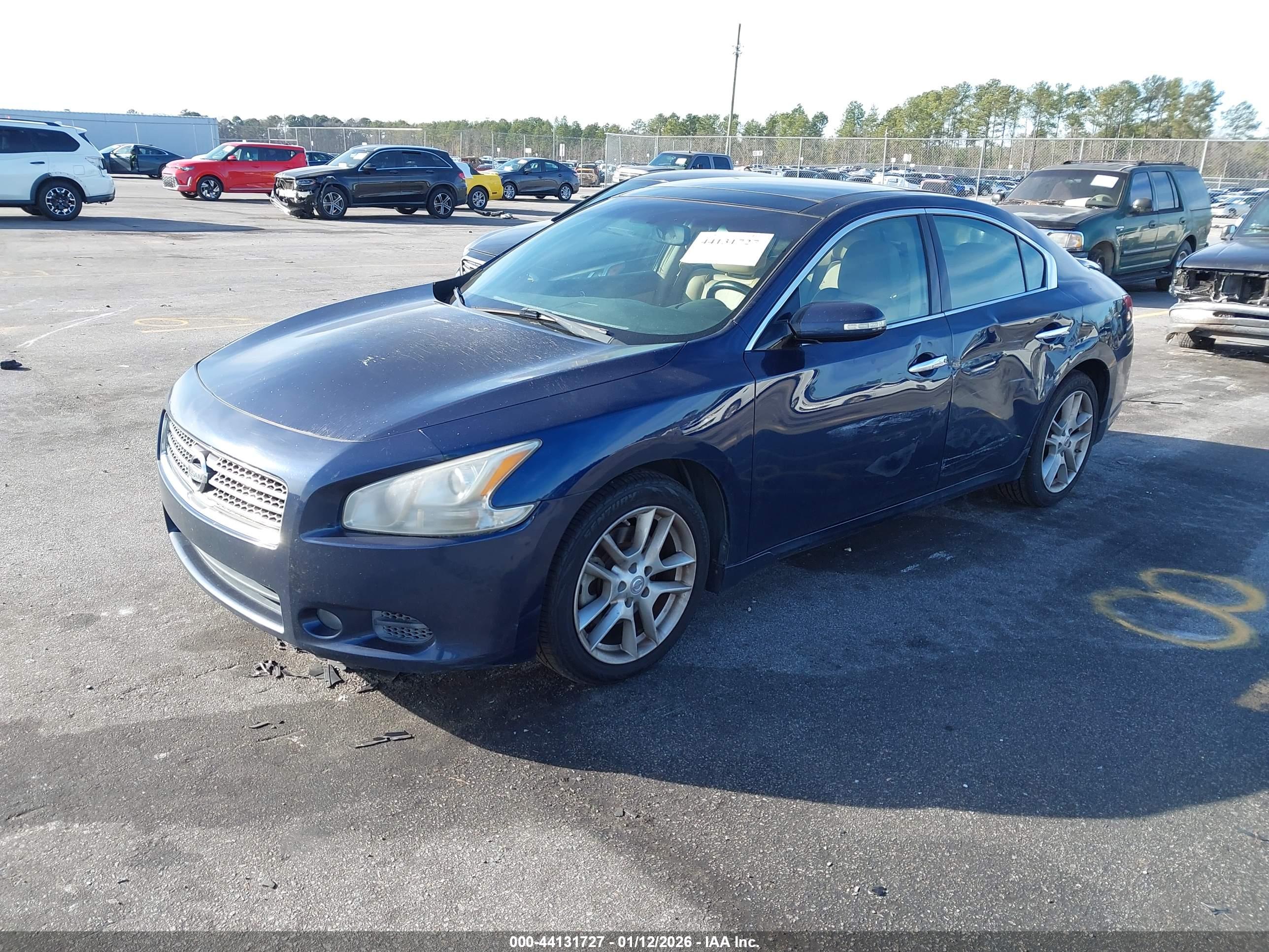 NISSAN MAXIMA image 2