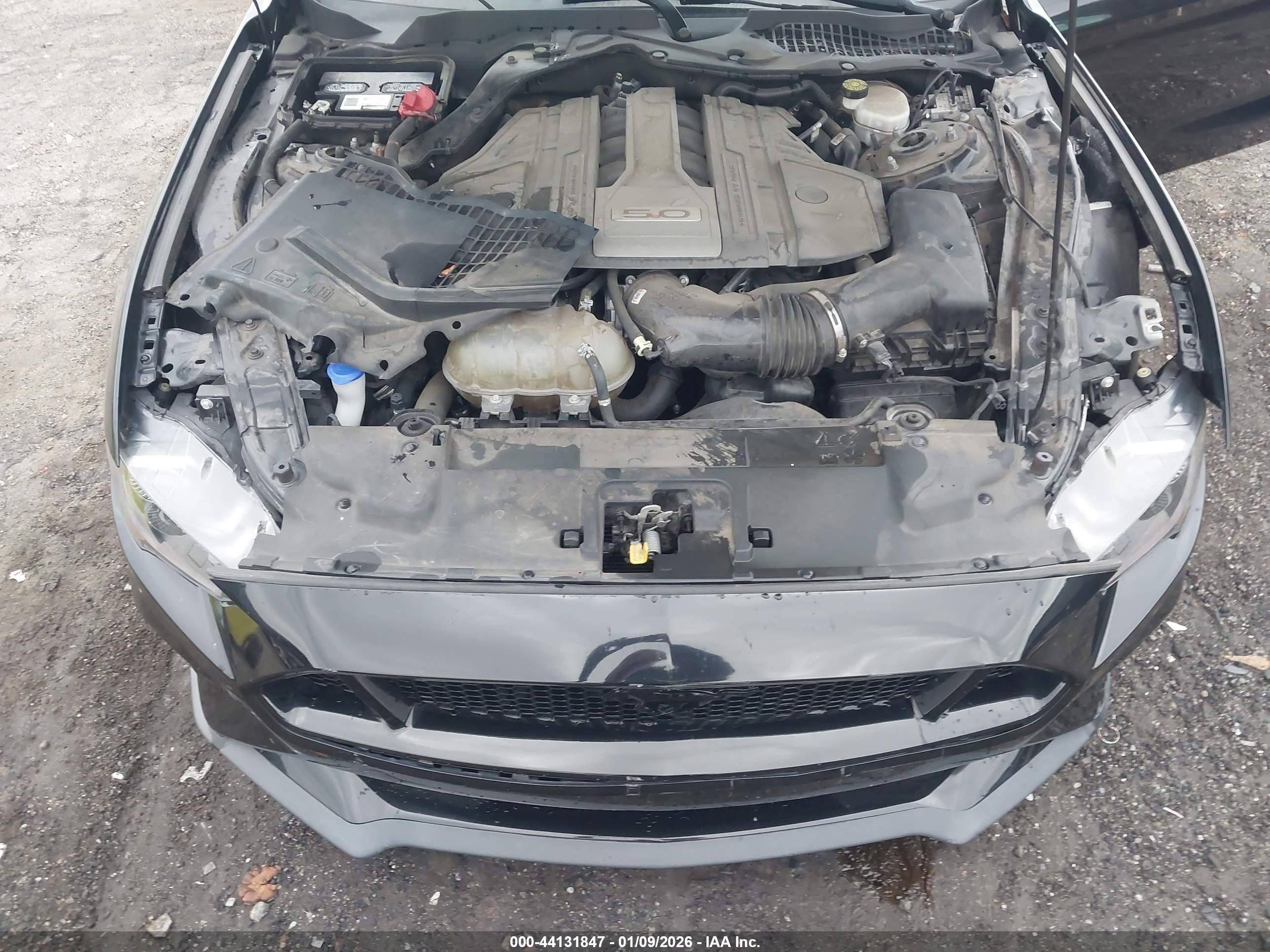FORD MUSTANG image 10