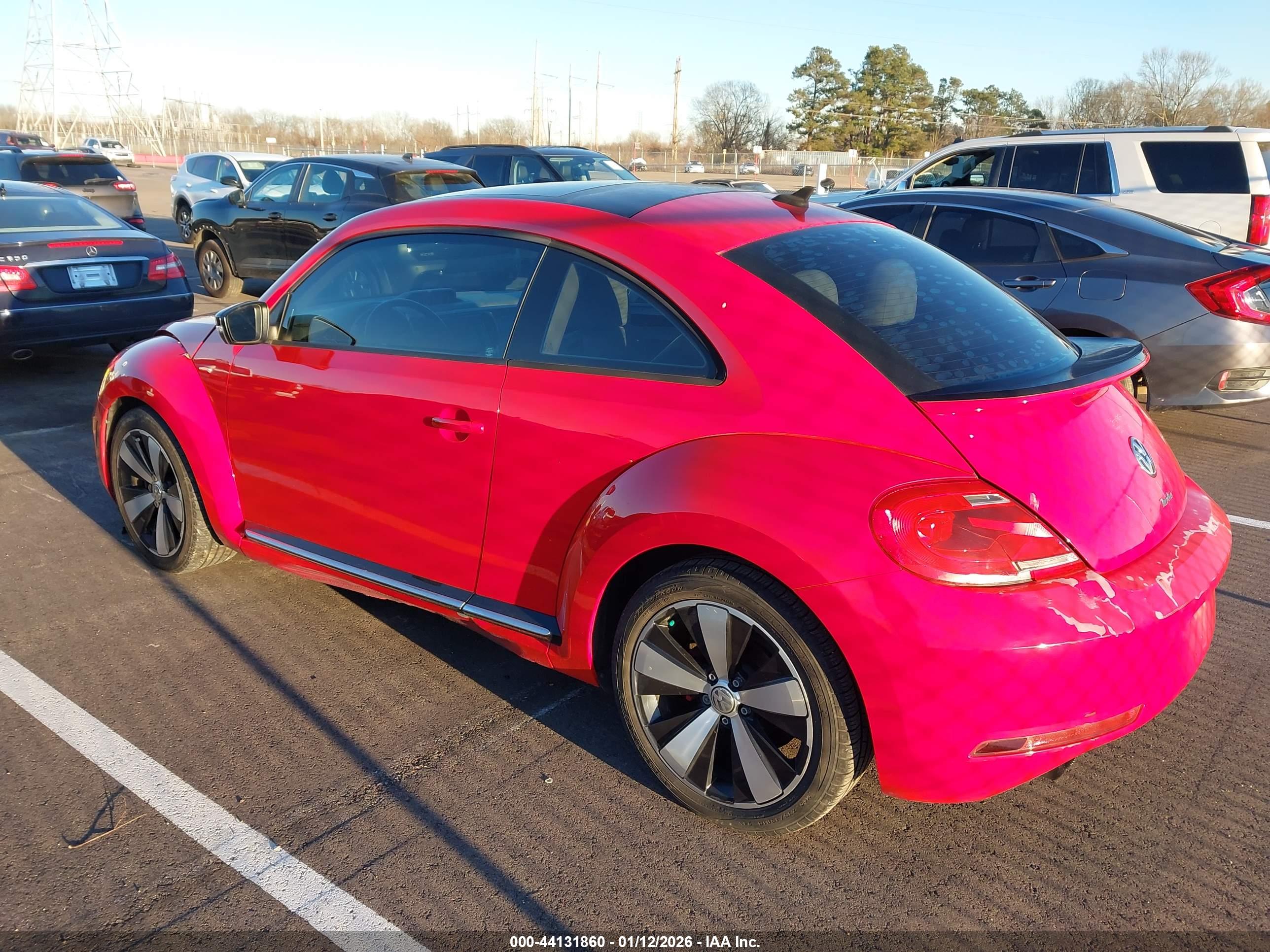 VOLKSWAGEN BEETLE image 3