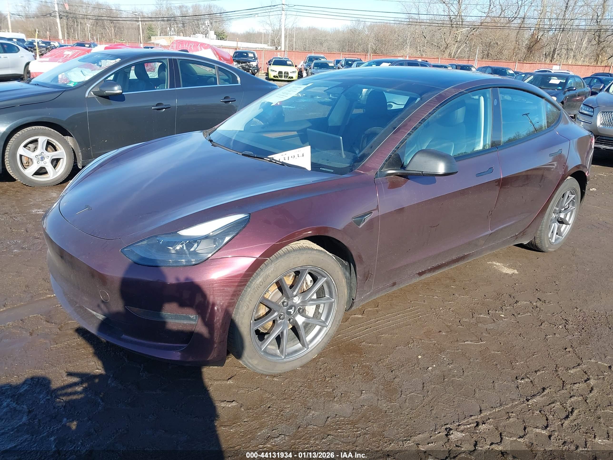 TESLA MODEL image 2