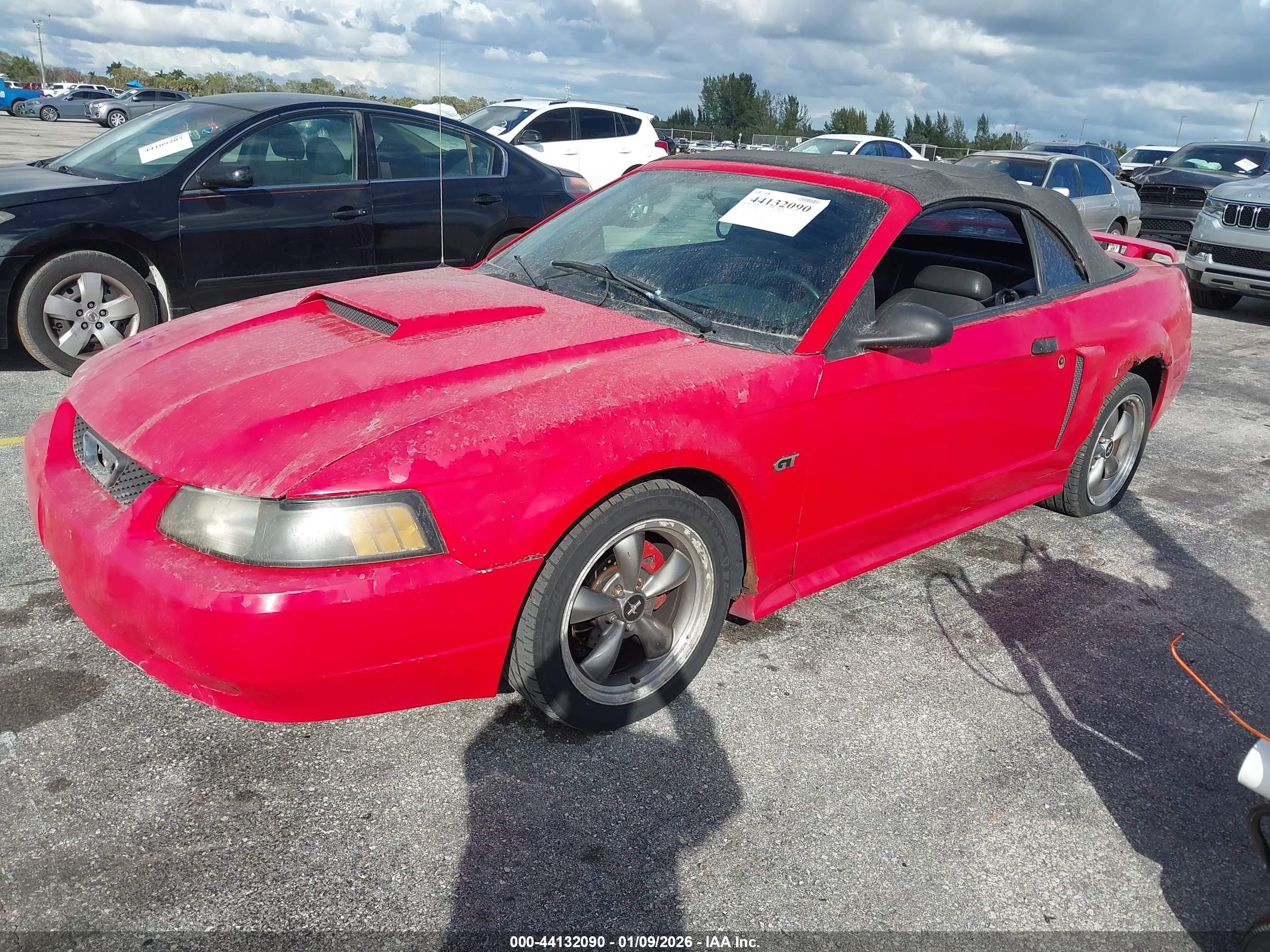 FORD MUSTANG image 2