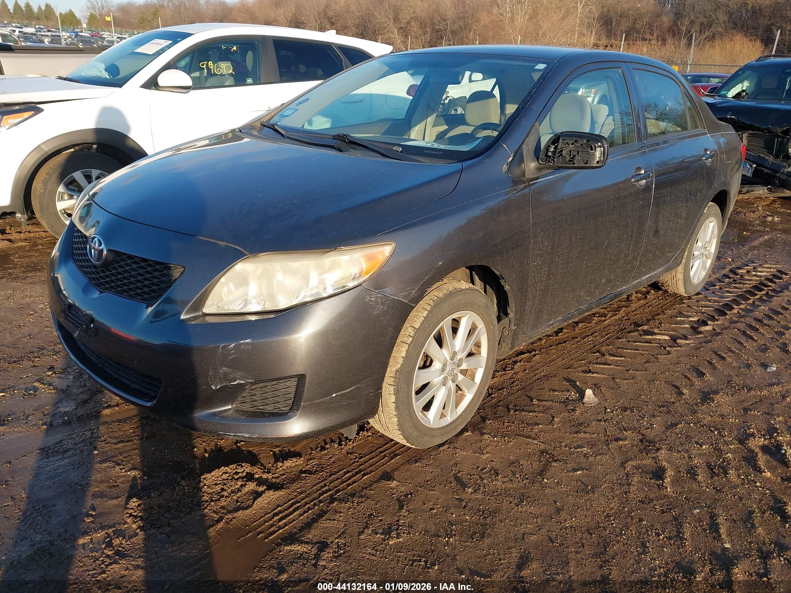 TOYOTA COROLLA image 2
