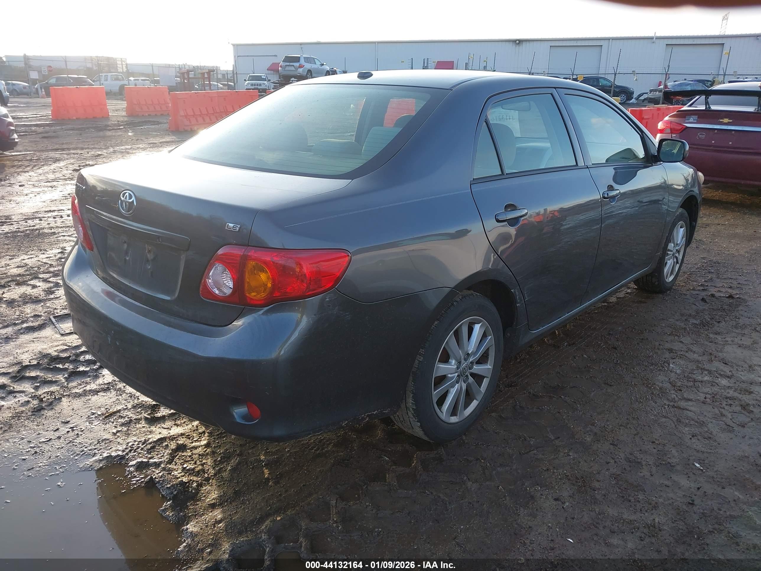 TOYOTA COROLLA image 4