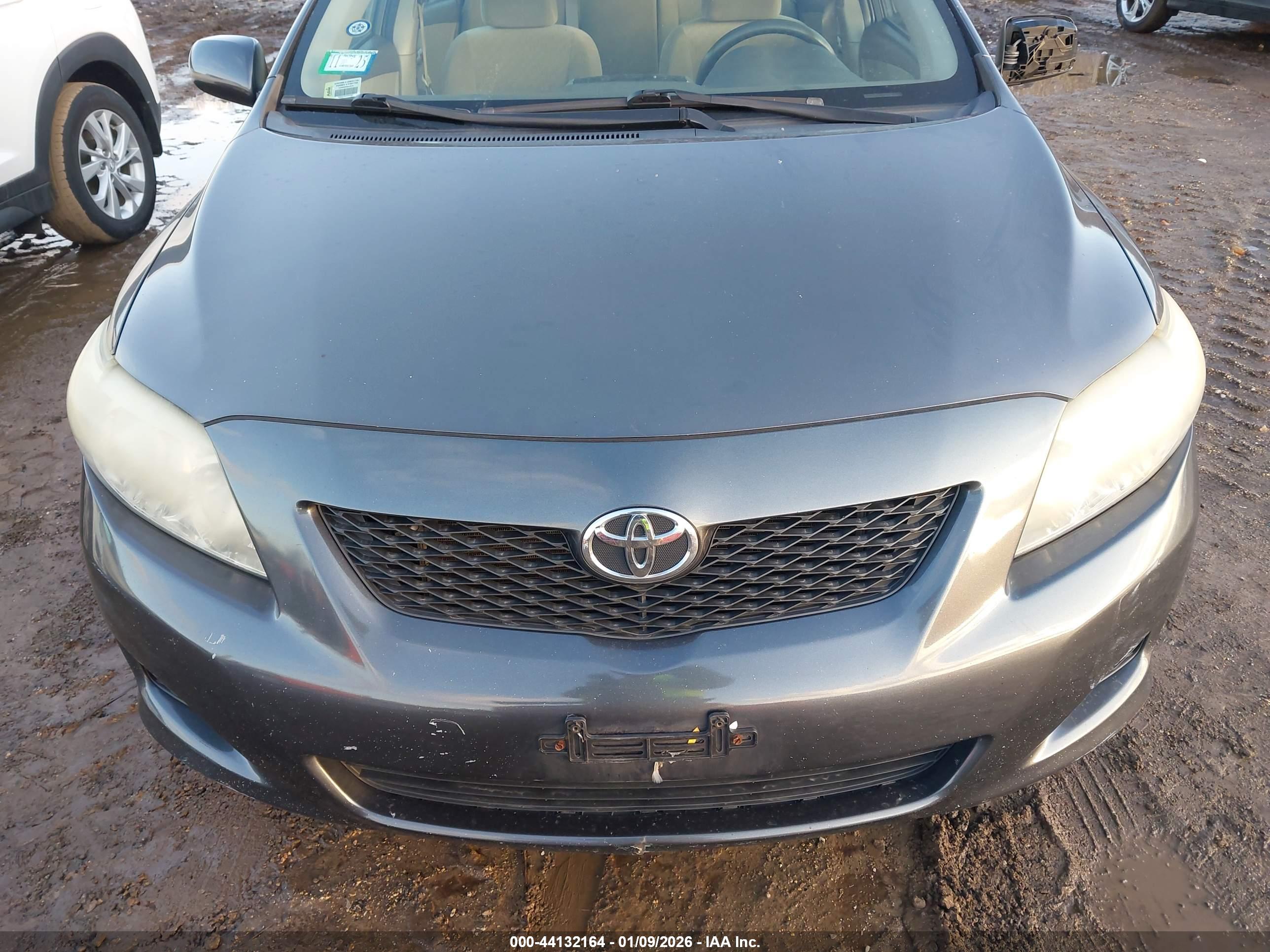 TOYOTA COROLLA image 6