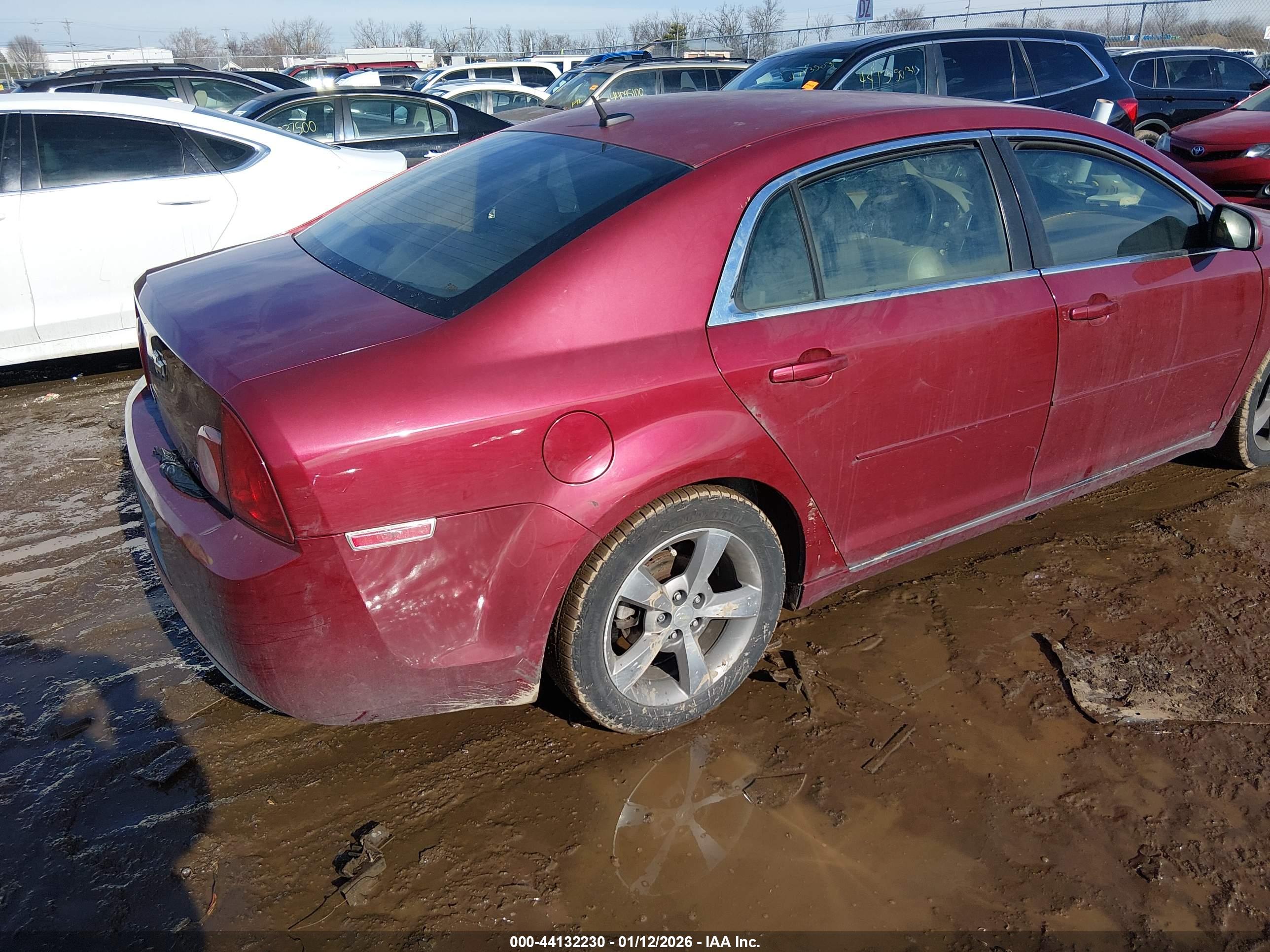 CHEVROLET MALIBU image 4