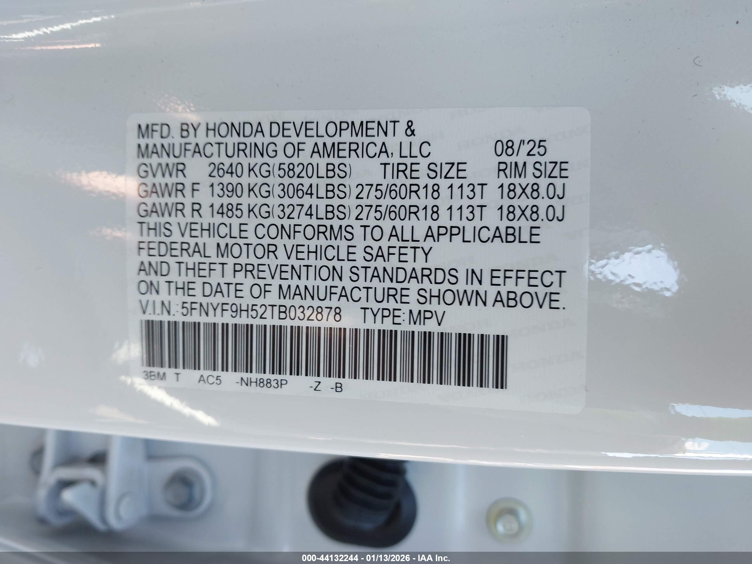 HONDA PASSPORT image 9