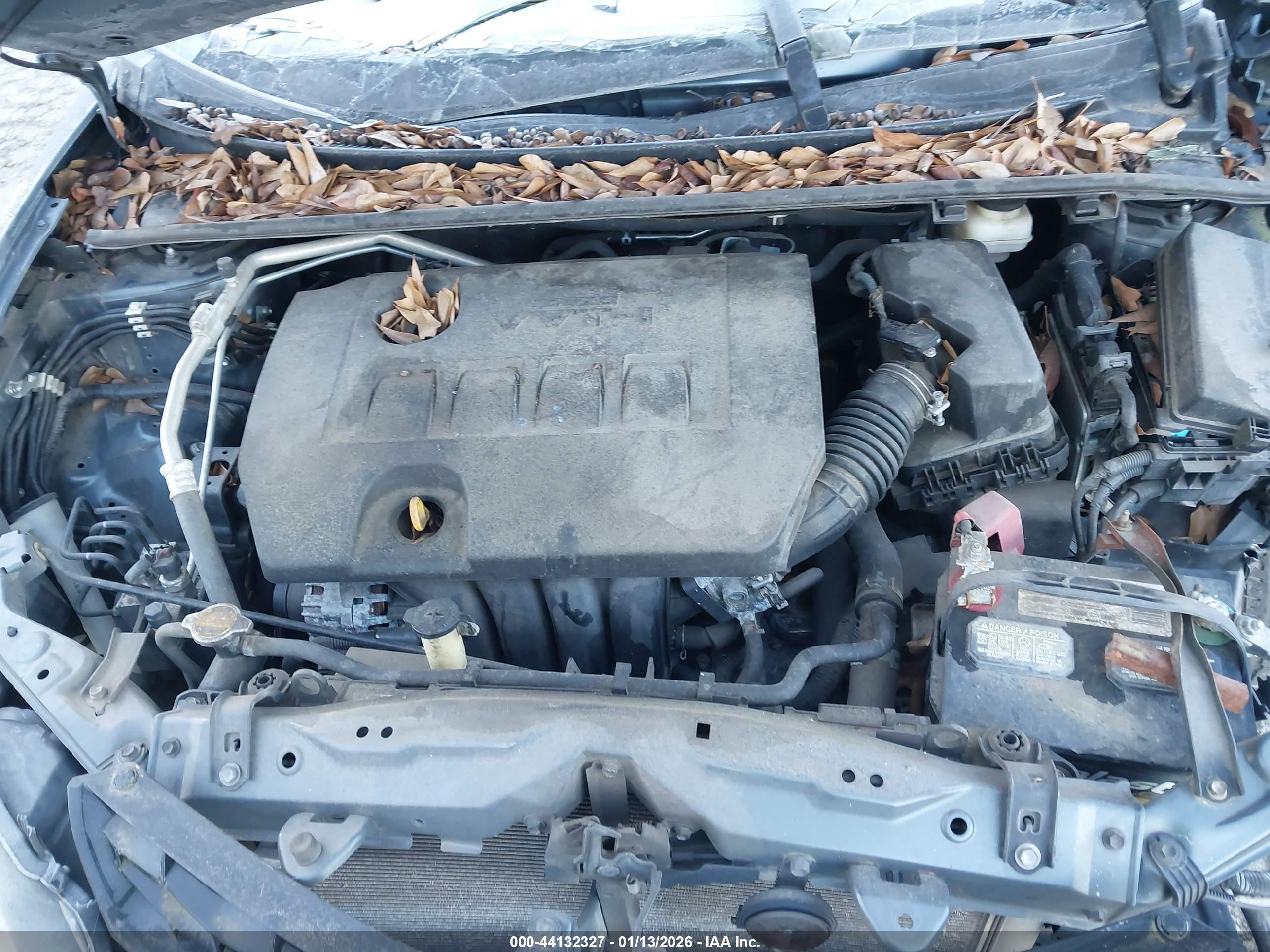 TOYOTA COROLLA image 10