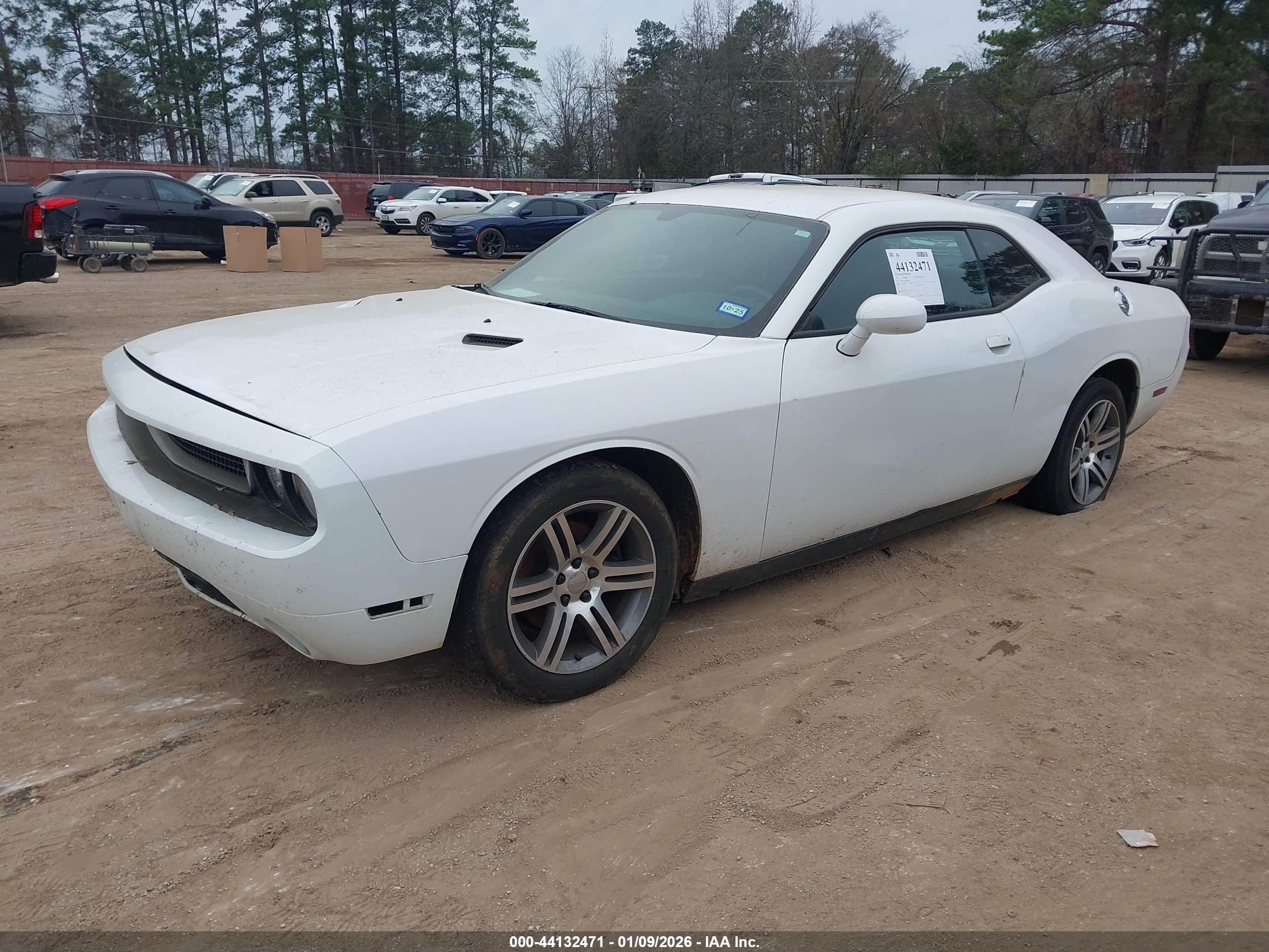 DODGE CHALLENGER image 2